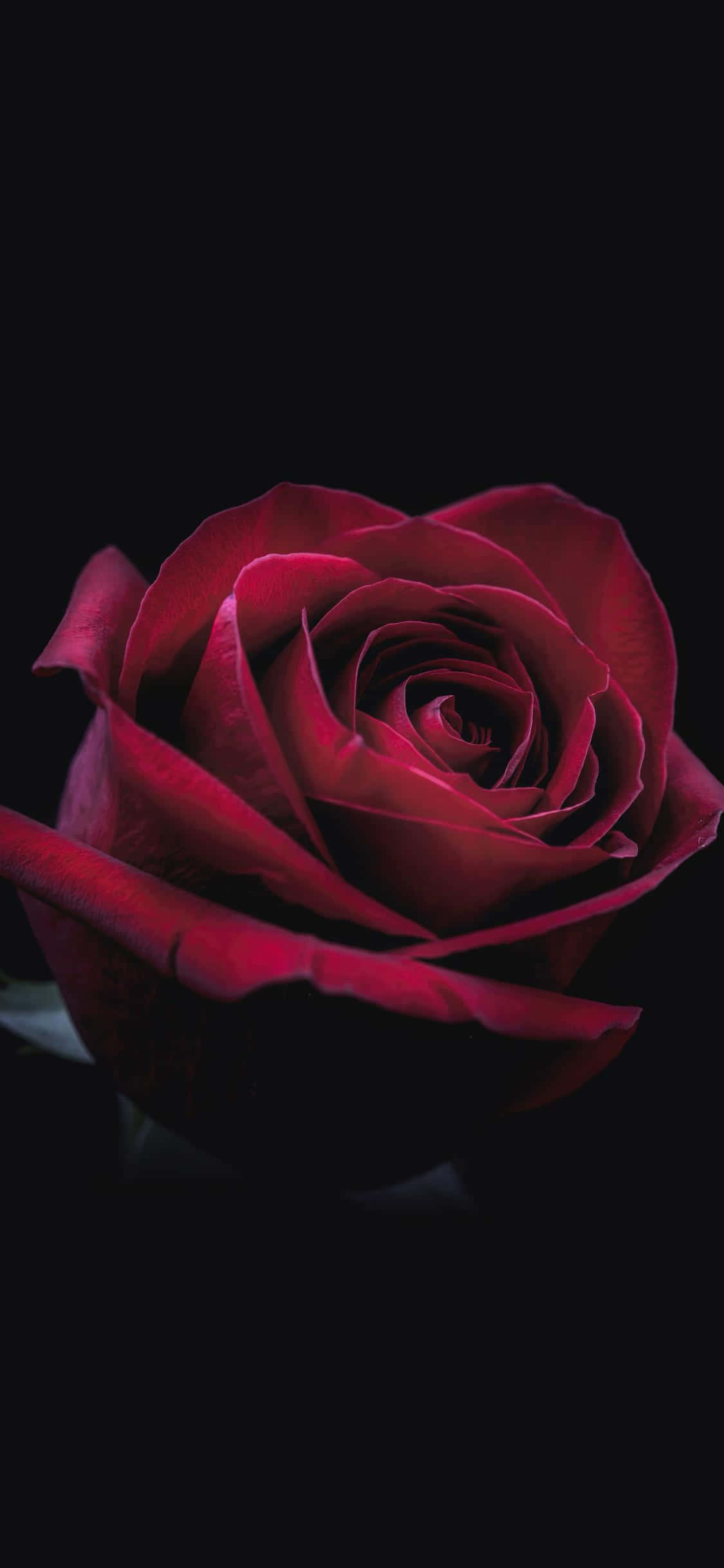 Kunin ang pinakamagandang OLED karanasan gamit ang mataas na pinapuring iPhone Xs Max! Wallpaper