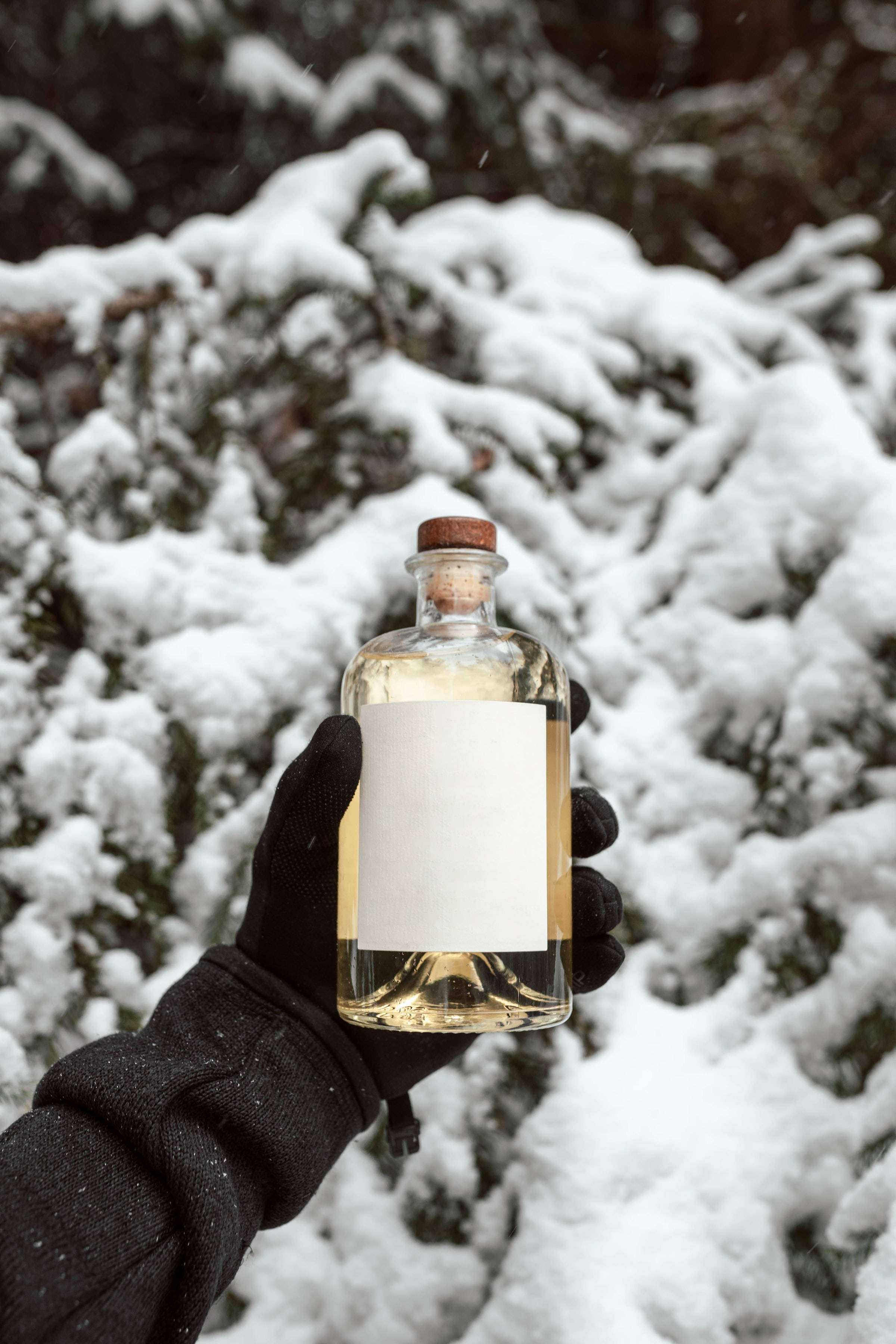 Gin sa Niyebe Wallpaper