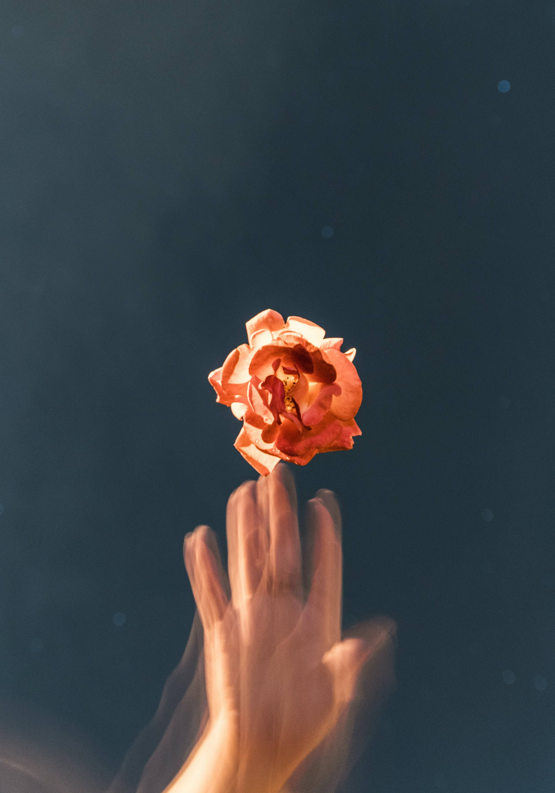 Glitch na Kahel na Rosas na Aesthetic Wallpaper