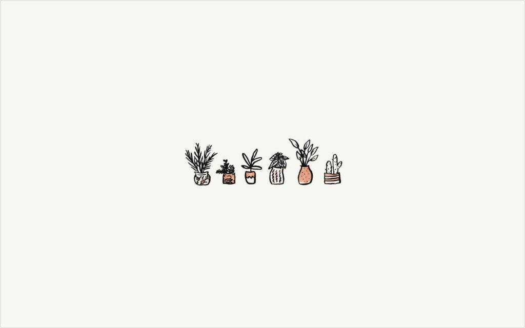 Graphic ng mga Potted Plants Mula sa Pinterest Laptop Wallpaper