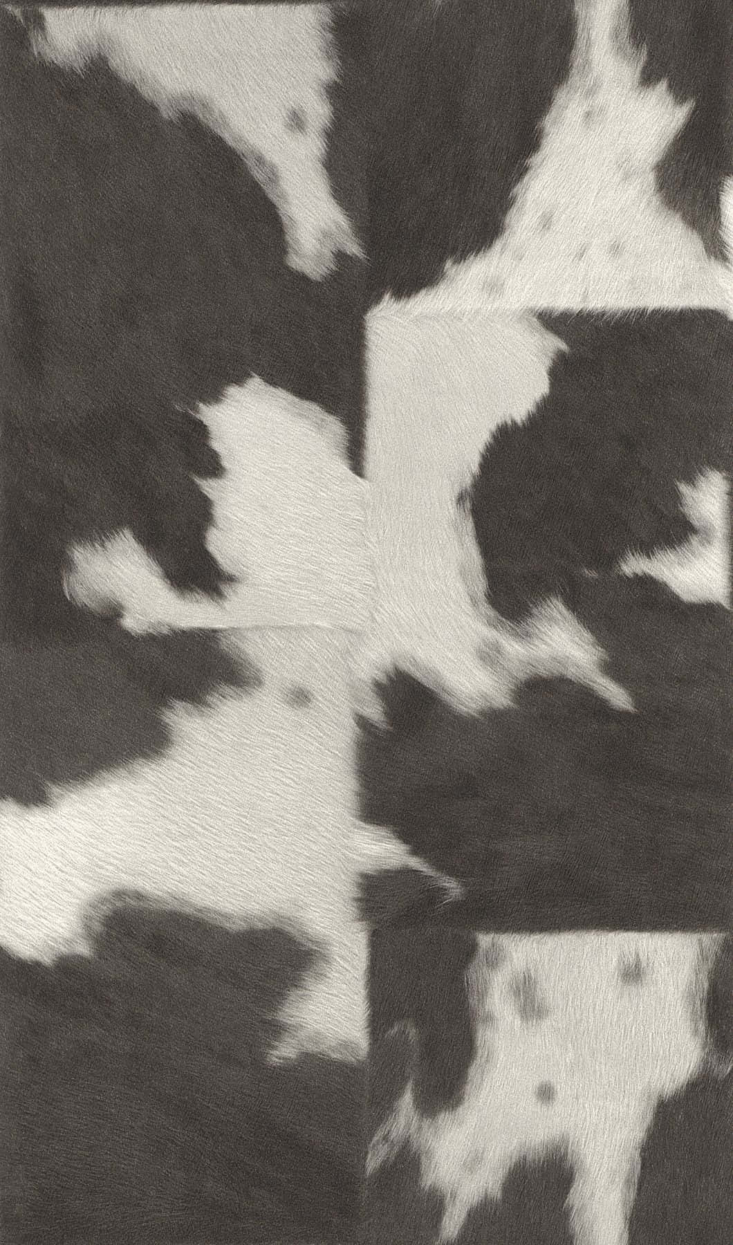 Gray And White Cowhide Background Wallpaper