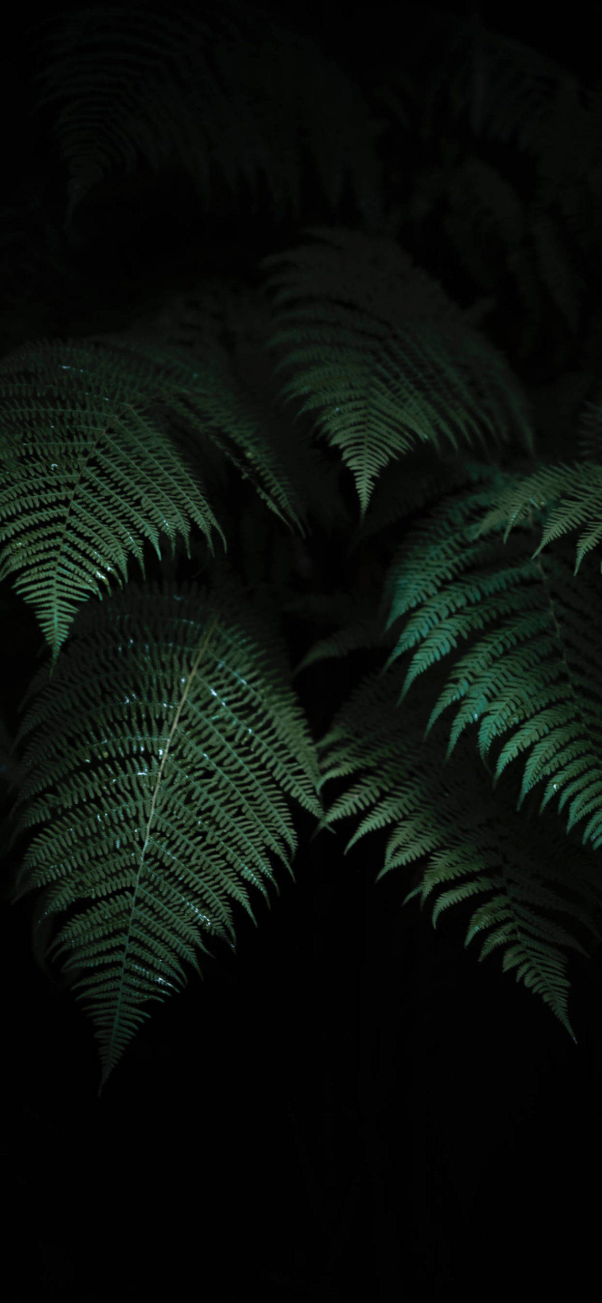 Paglago kasama ang teknolohiya Wallpaper