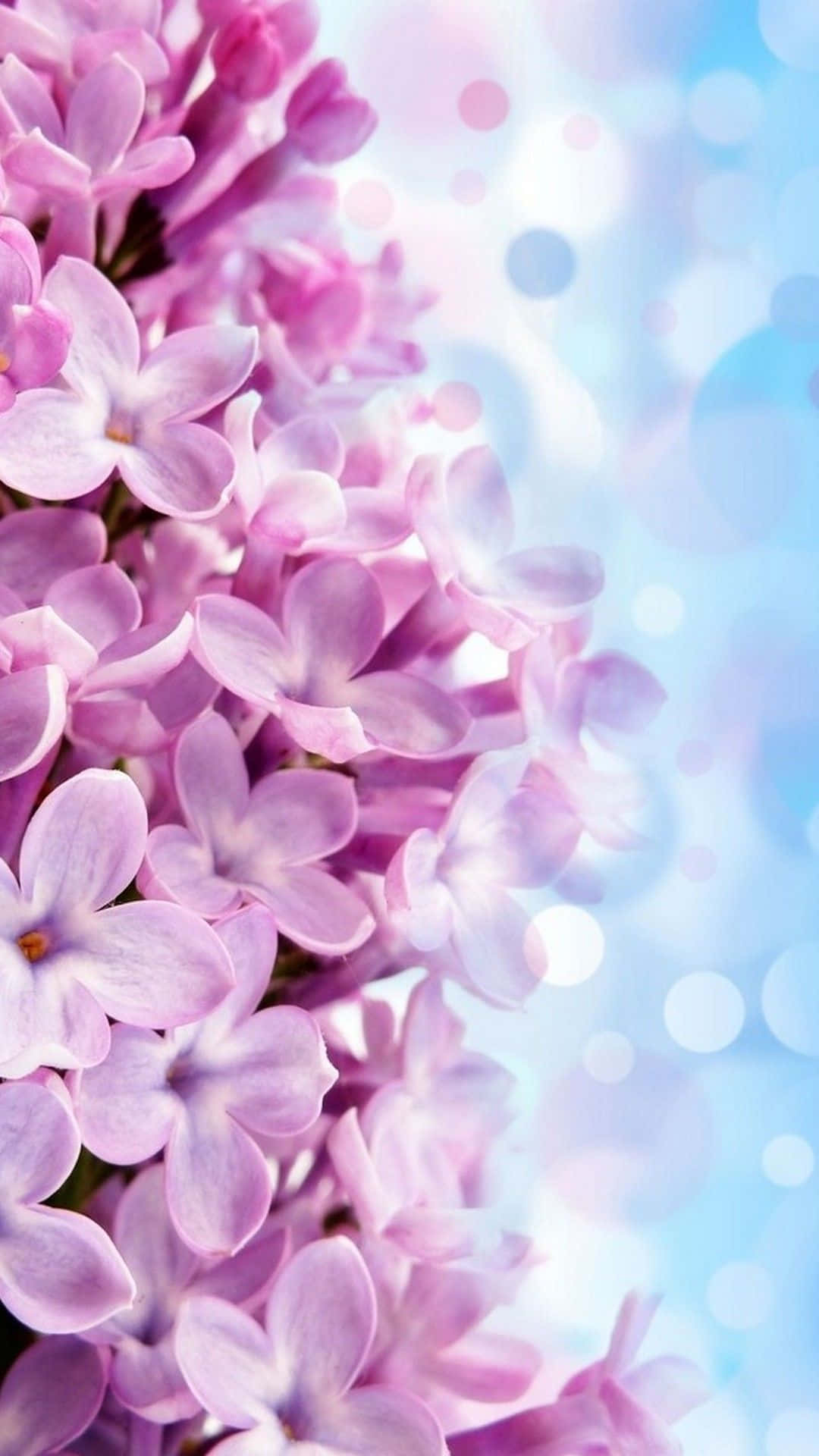 Gumawa ng makulay na pahayag sa magandang flower iPhone background na ito Wallpaper