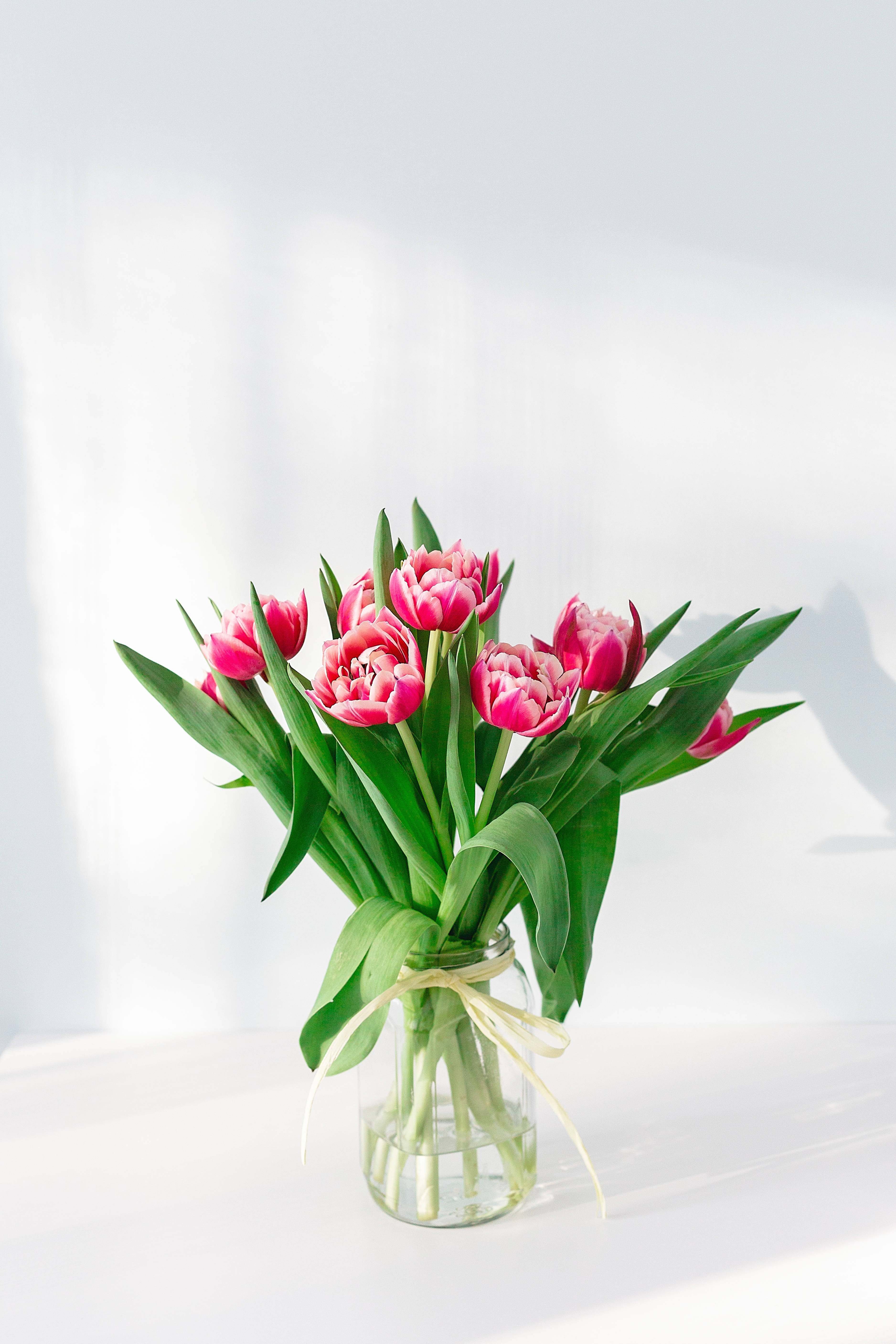 Halamang Panloob na Bulaklak na Kulay Rosas para sa iPhone Wallpaper