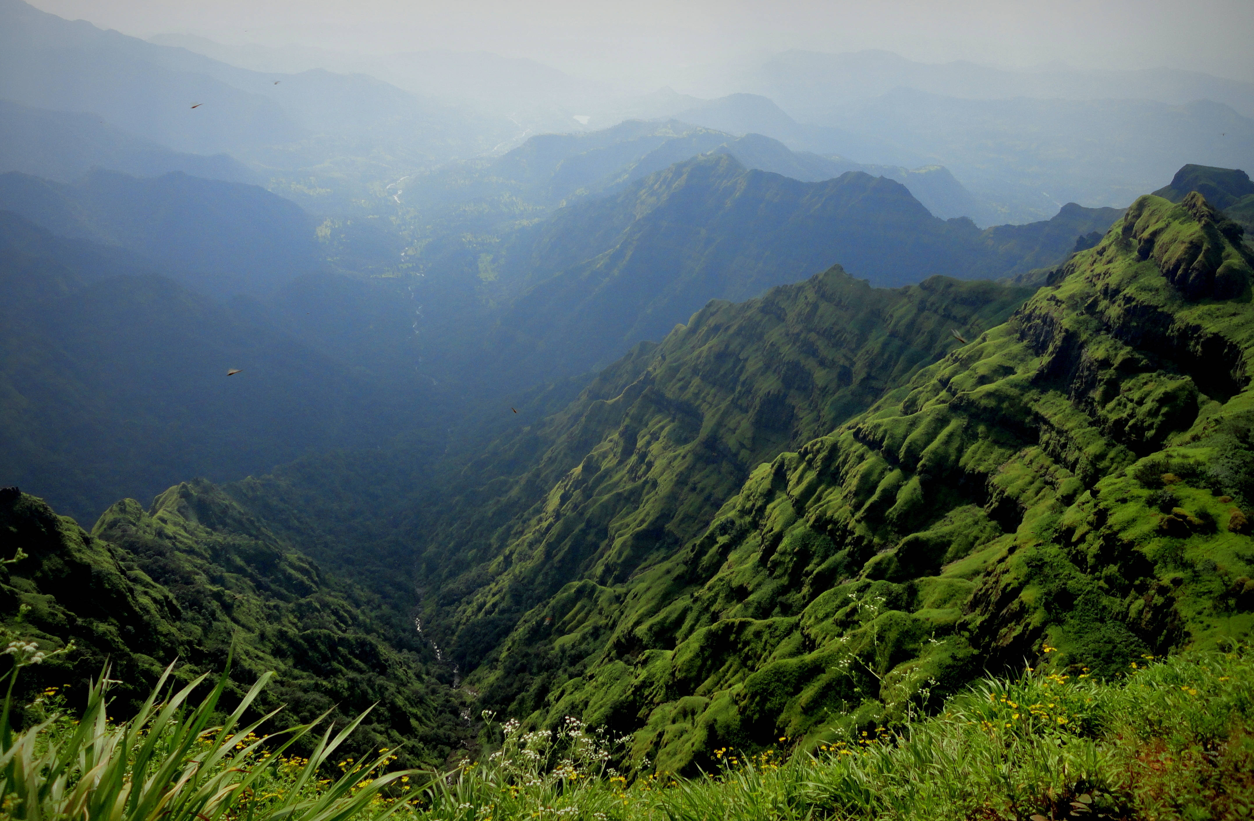 Hamog sa Bundok Wallpaper