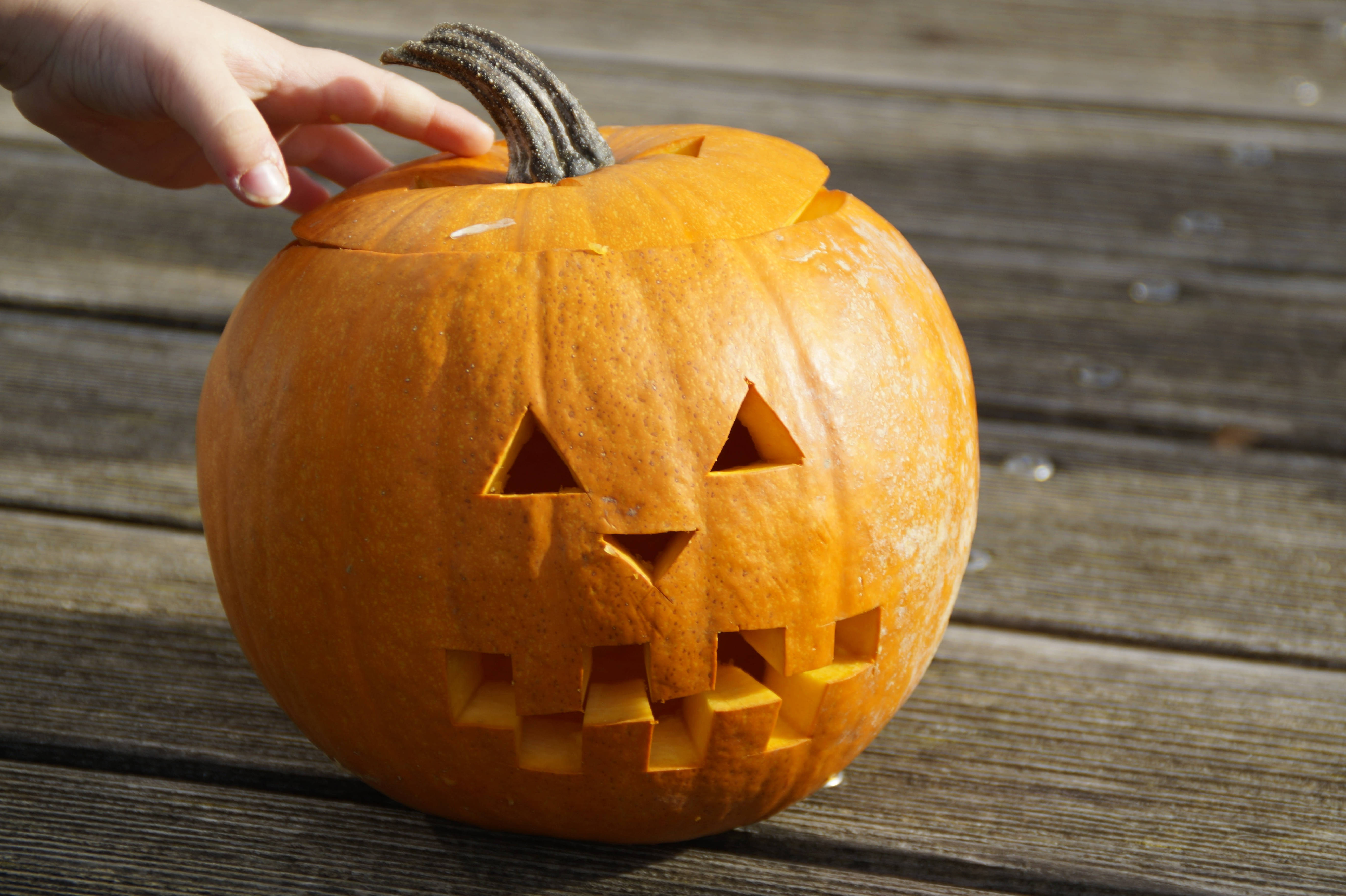 Haplos ng Sangkalan sa Halloween Wallpaper