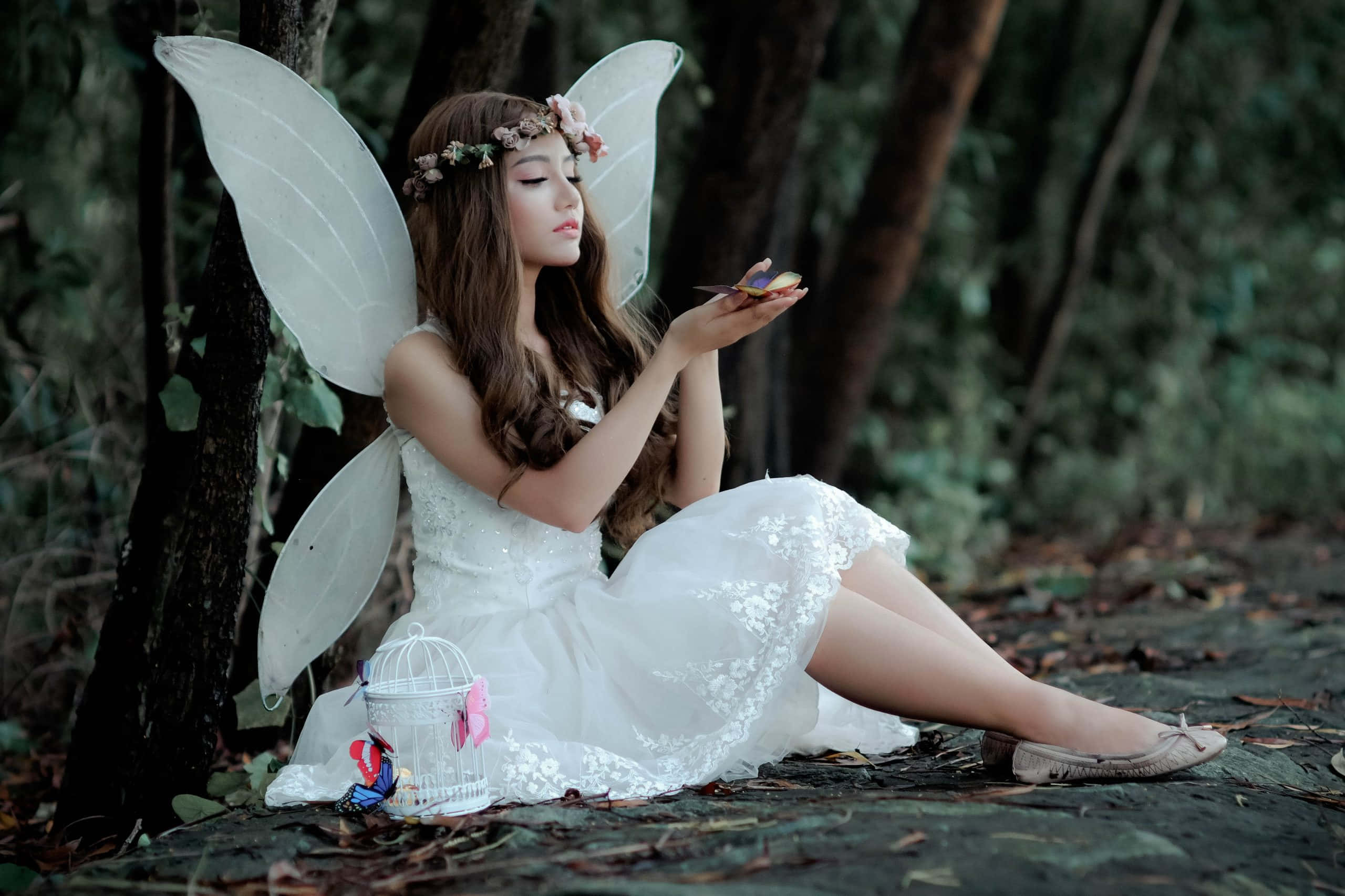 Hayaan mong dalhin ka ng iyong imahinasyon sa ganda ng fairy aesthetic Wallpaper