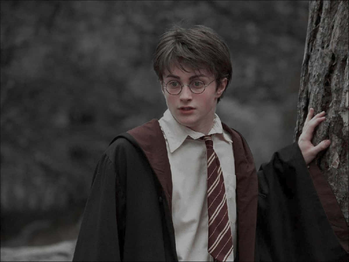 Hayaan mong gumala ang iyong imahinasyon sa mahiwagang mundo ng Harry Potter. Wallpaper