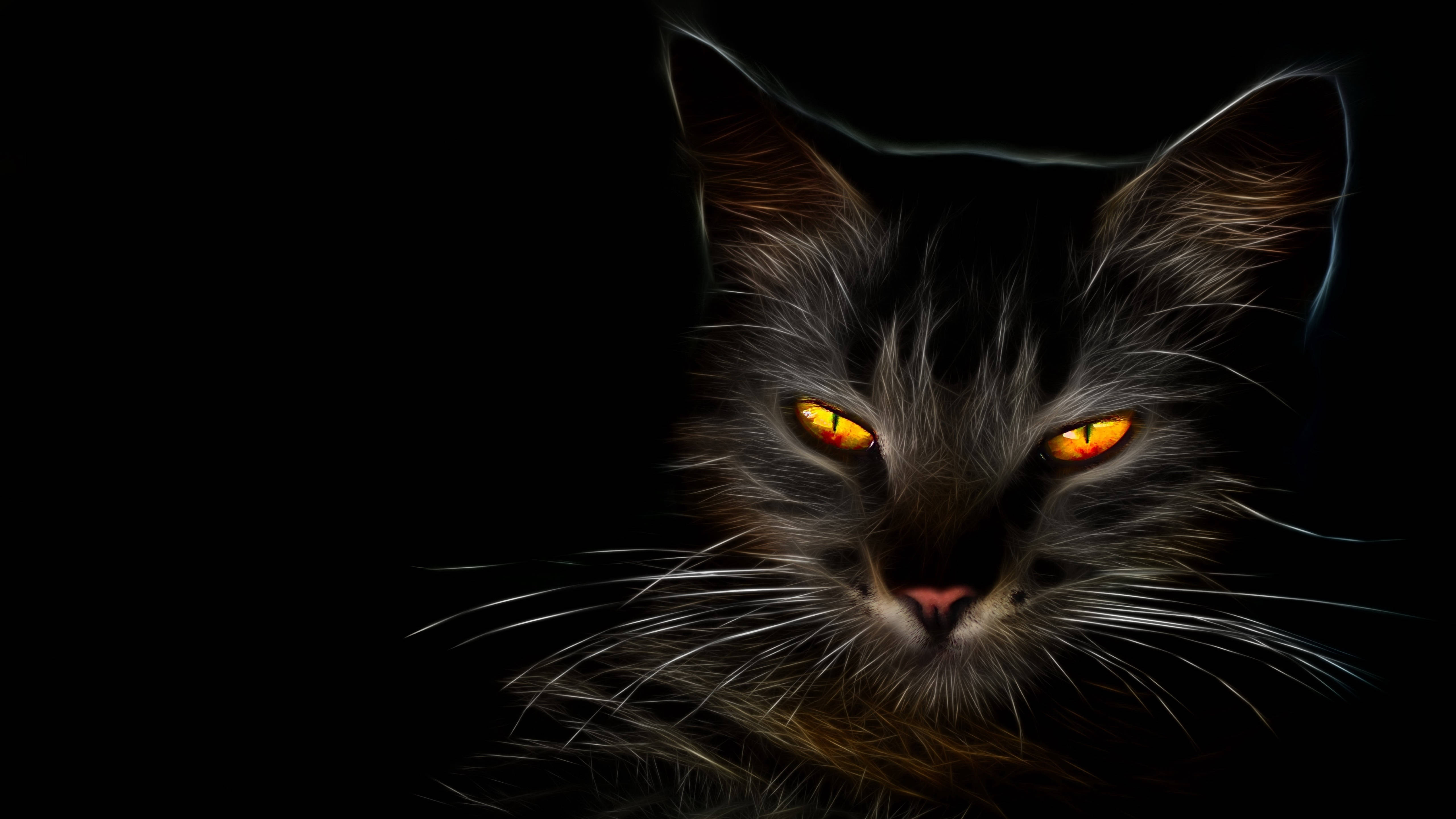 HD Itim na Pusa Wallpaper