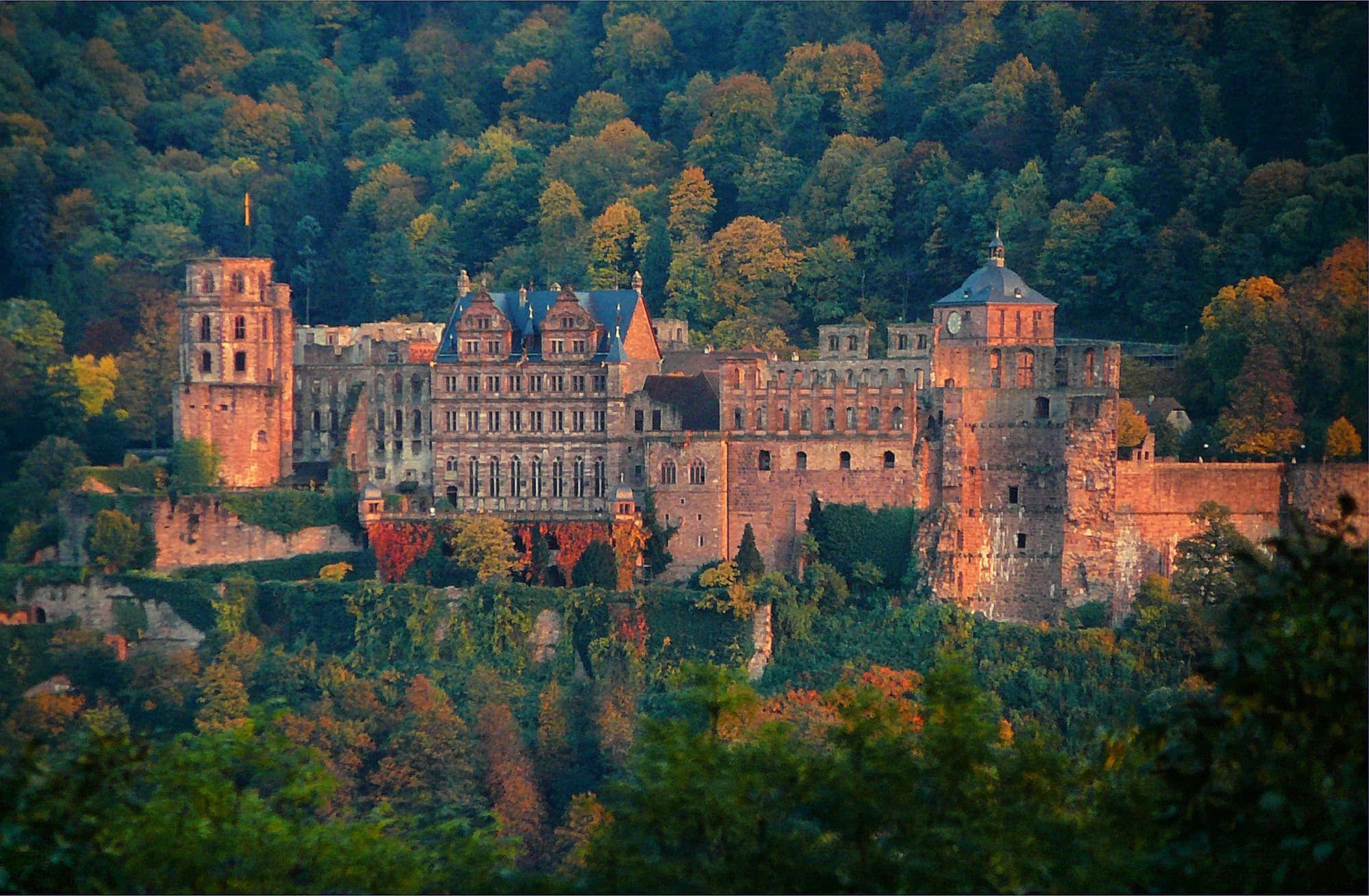 Heidelberg Castle na Napapaligiran ng mga Puno sa Taglagas Wallpaper