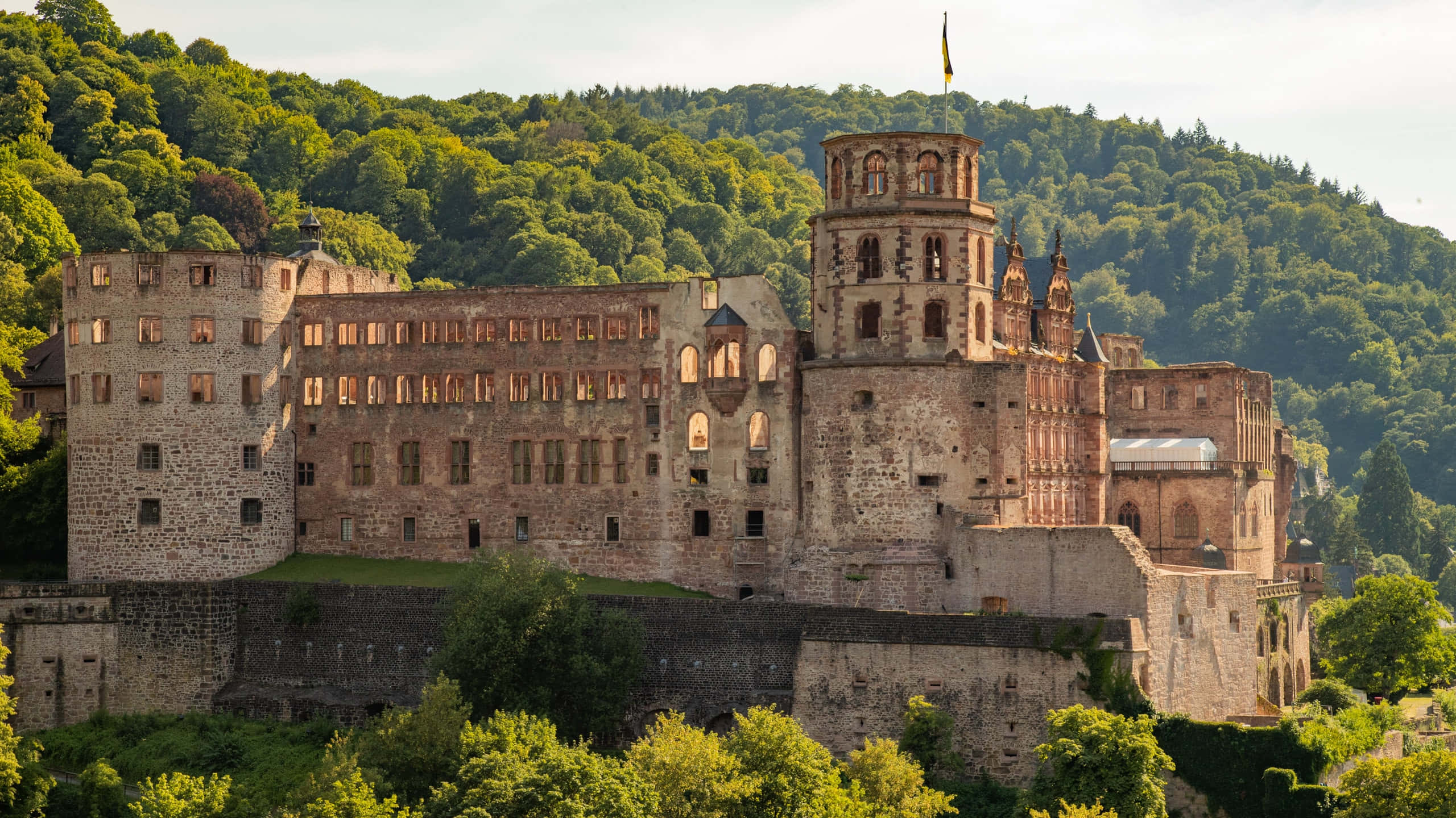 Heidelberg Castle Sa Umaga Wallpaper