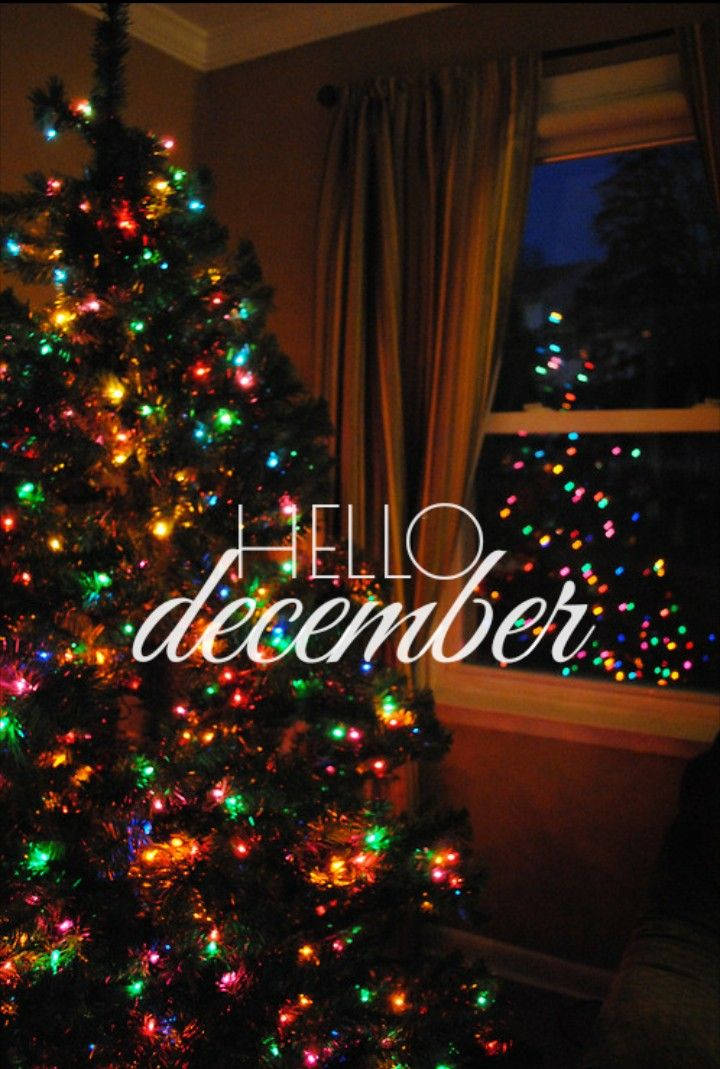 Hello Disyembre Malaking Christmas Tree Wallpaper