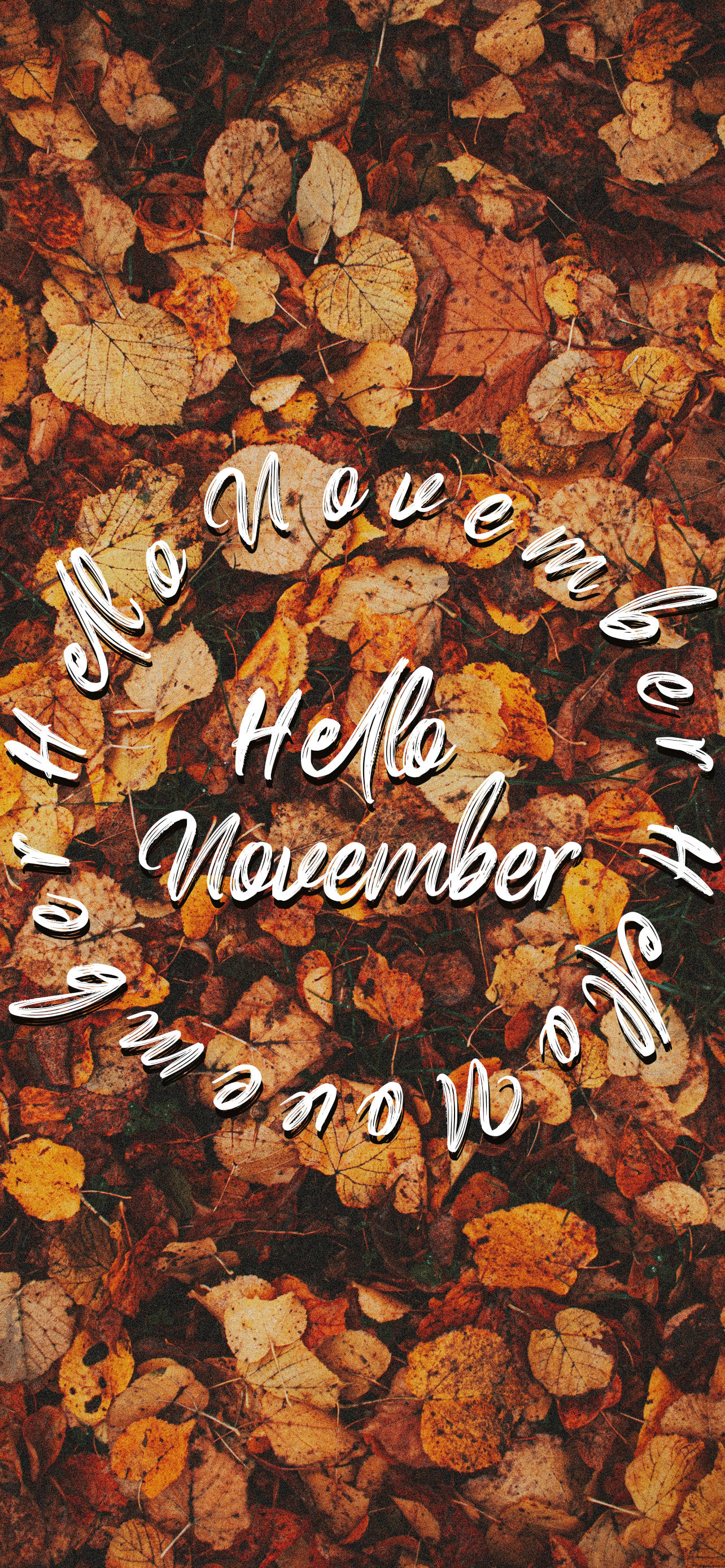 Hello November sa Autumn na mga Dahon Wallpaper