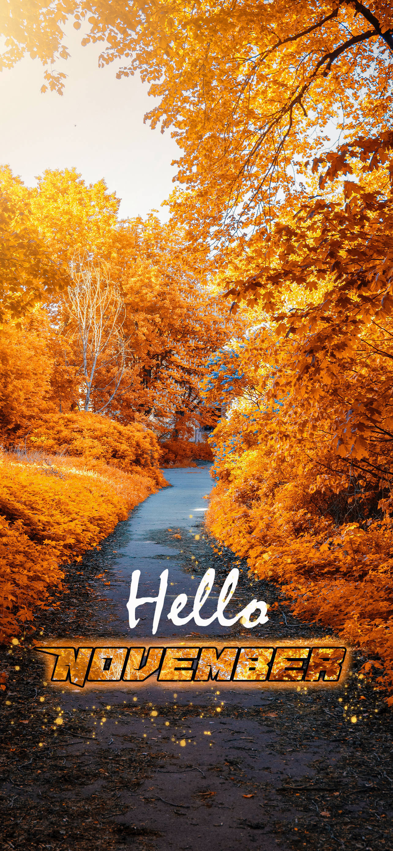 Hello Nobyembre Dilaw na Daan sa Hardin Wallpaper