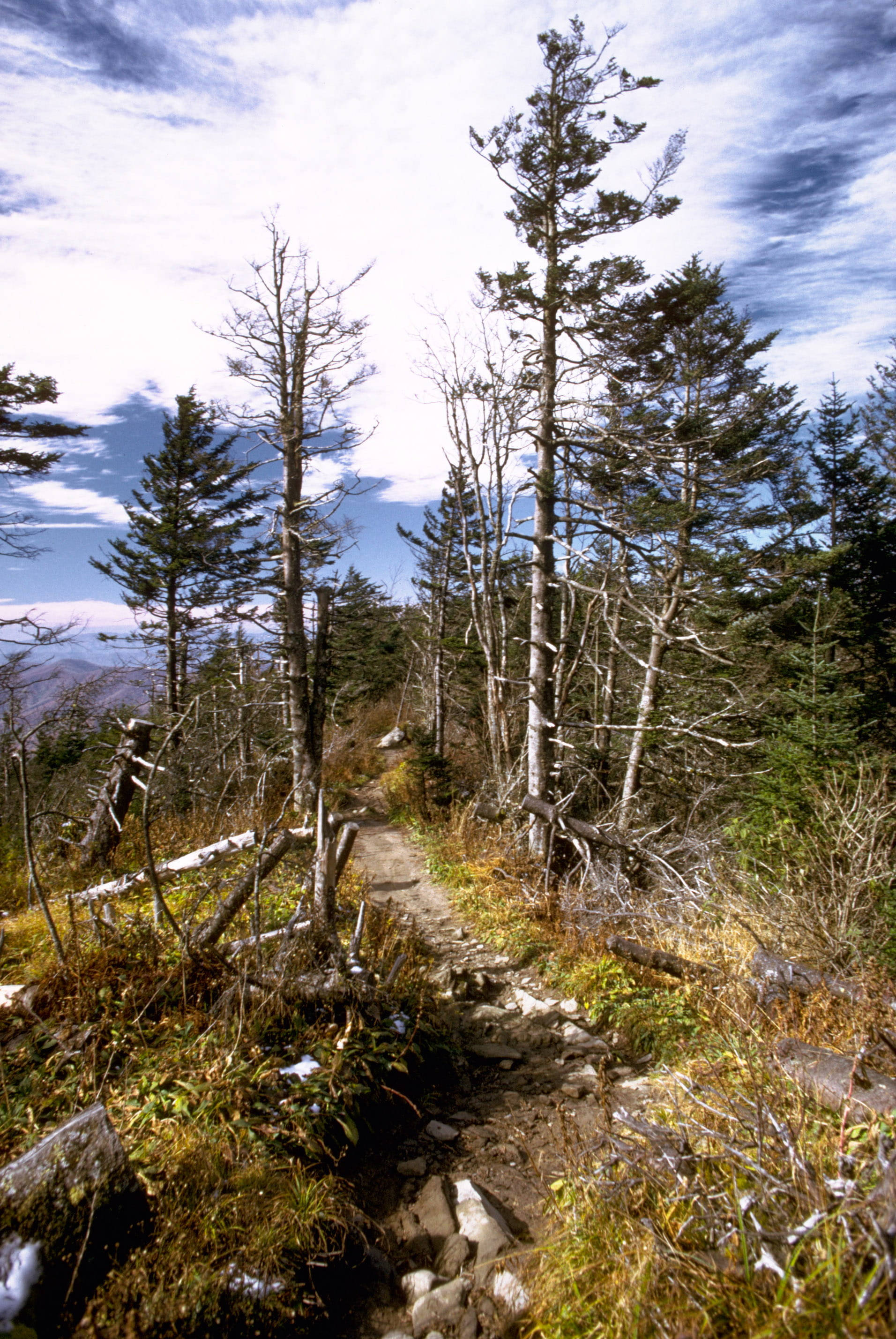 Daan ng Paglalakad sa Smoky Mountains Wallpaper