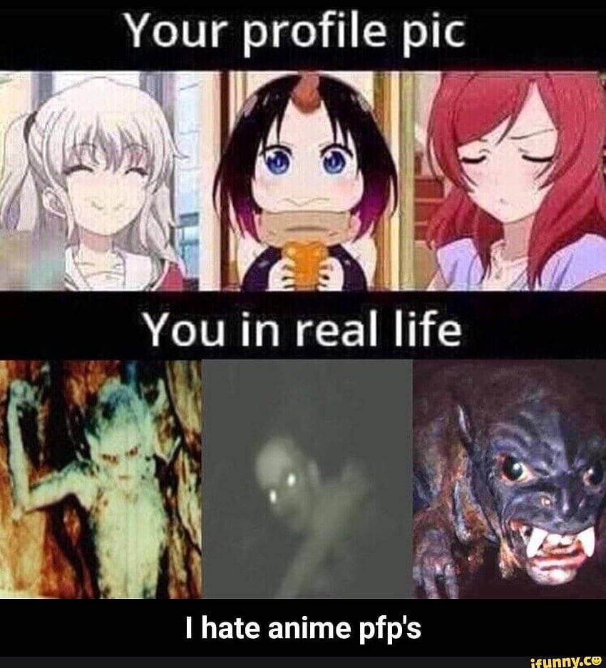 Hilarious Meme PFP Wallpaper