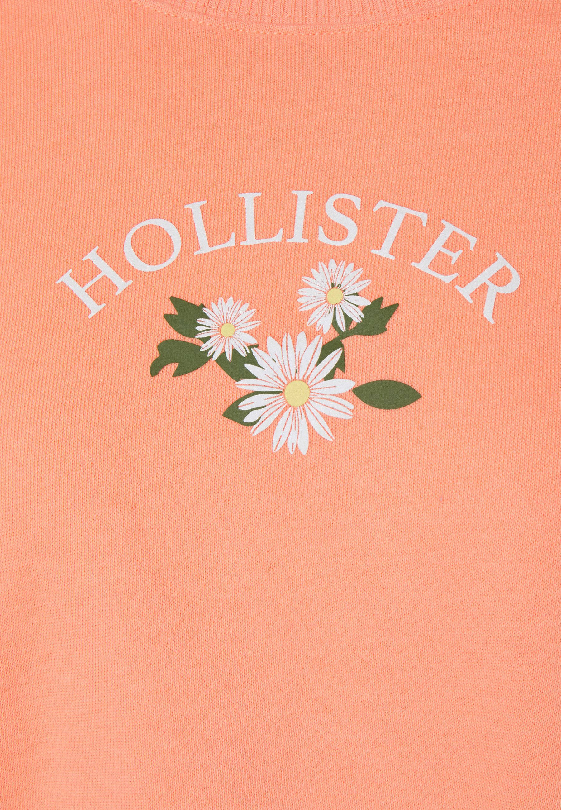Hollister Three White Flower Illustration Wallpaper