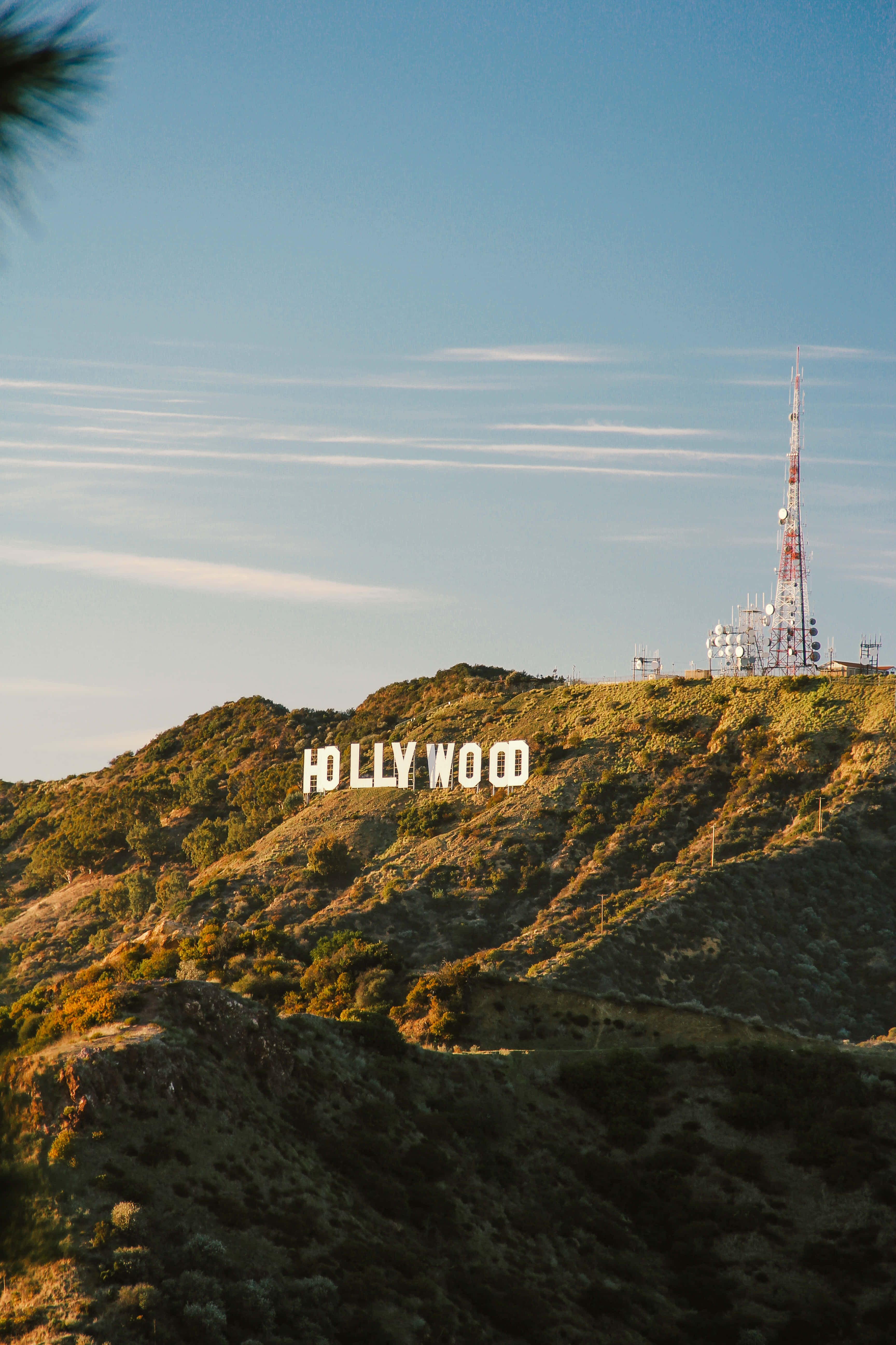 Hollywood Background Sign Board Habang Lumulubog ang Araw Wallpaper