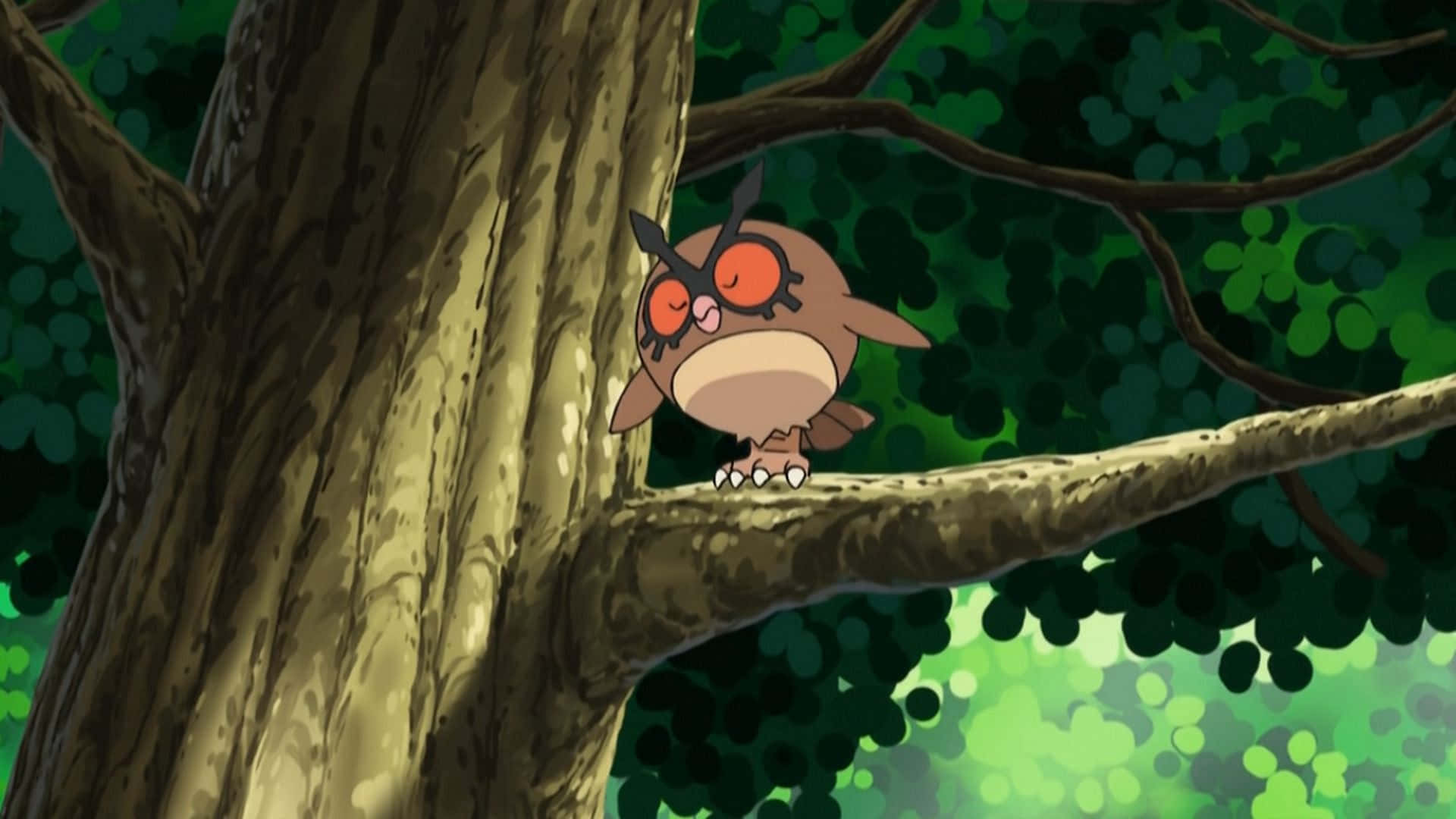 Hoothoot Nakadapo sa Sanga ng Puno Wallpaper