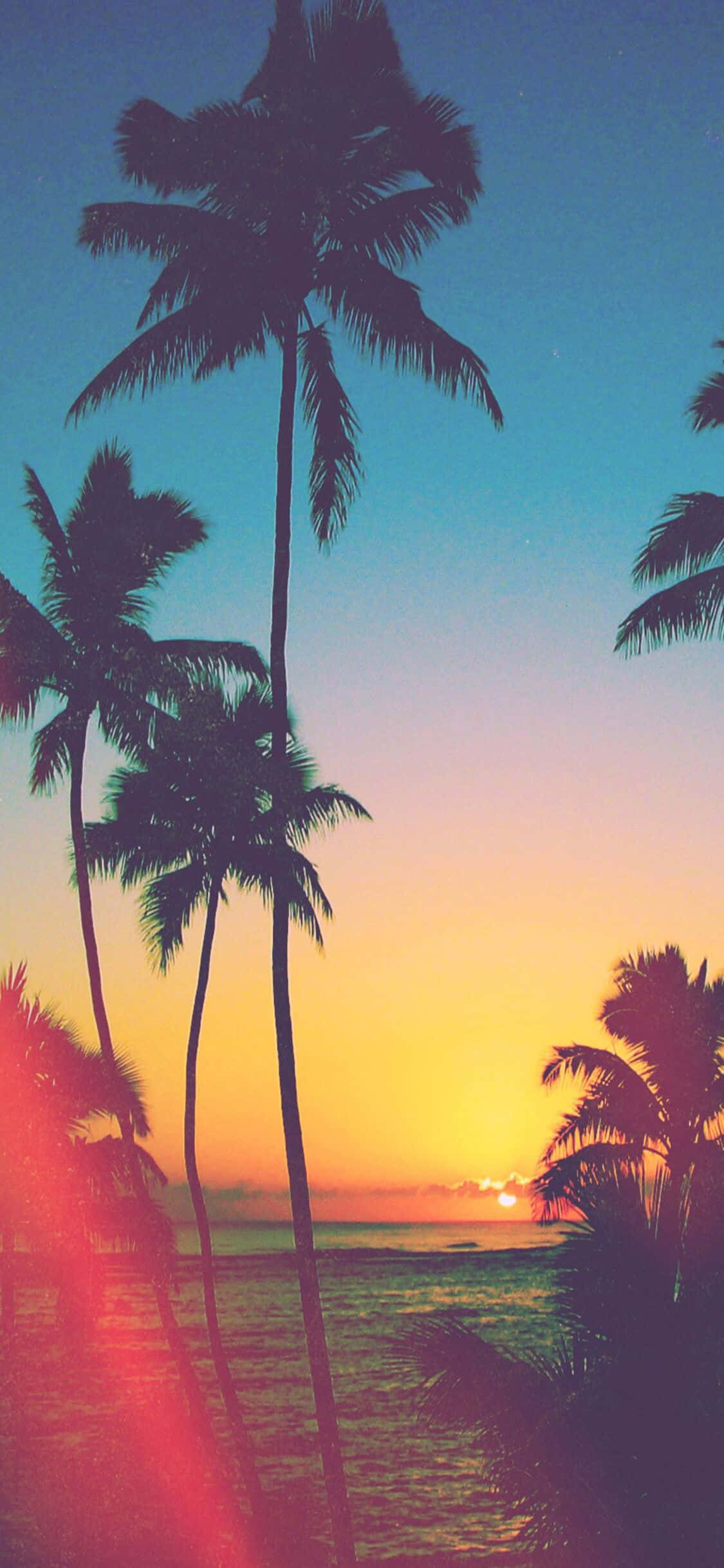 I-enjoy ang Ganda ng California gamit ang iPhone X Wallpaper