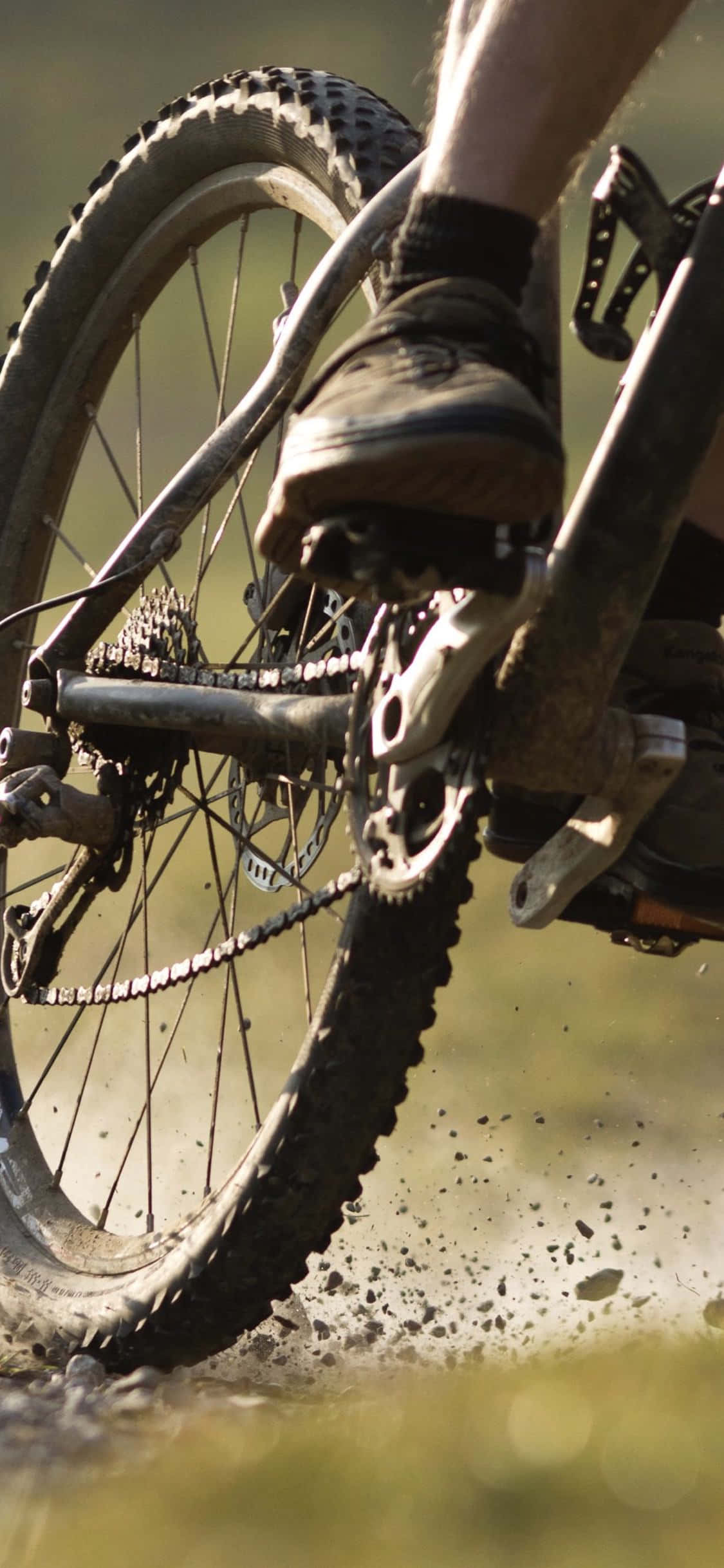 I-enjoy ang kilig ng outdoor mountain biking gamit ang iyong iPhone. Wallpaper