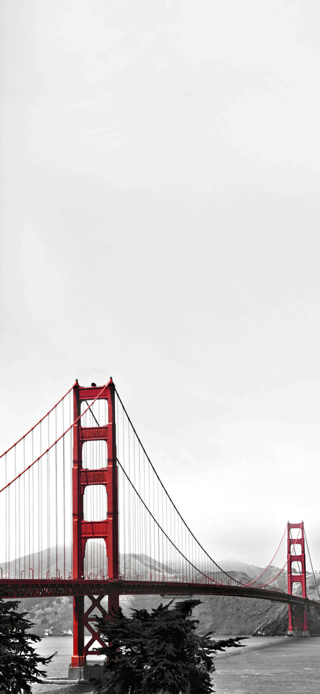 I-enjoy ang sleek at versatile na disenyo ng isang puting iPhone Wallpaper