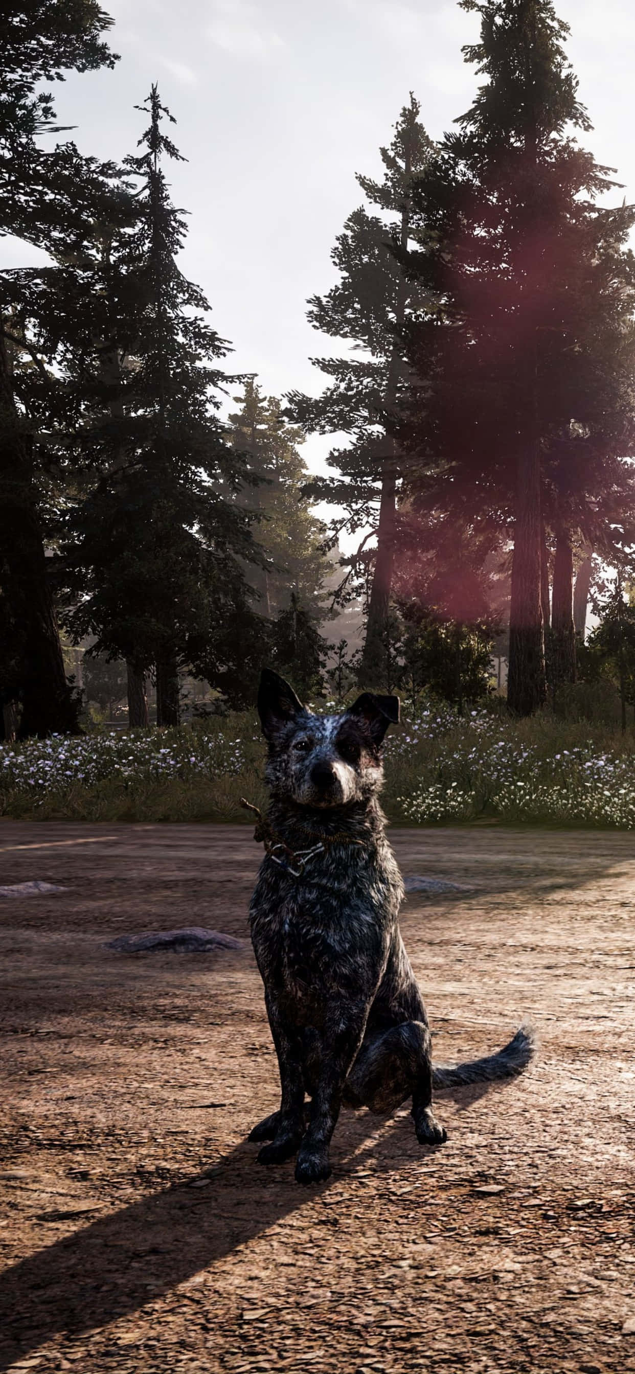 Eksperyens ang immersive Far Cry 5 world sa iyong iPhone Xs Max Wallpaper