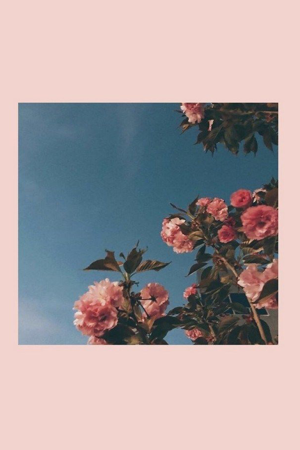 I-unlock ang pagkamalikhain saan ka man magpunta gamit ang magandang Aesthetic iPad Wallpaper