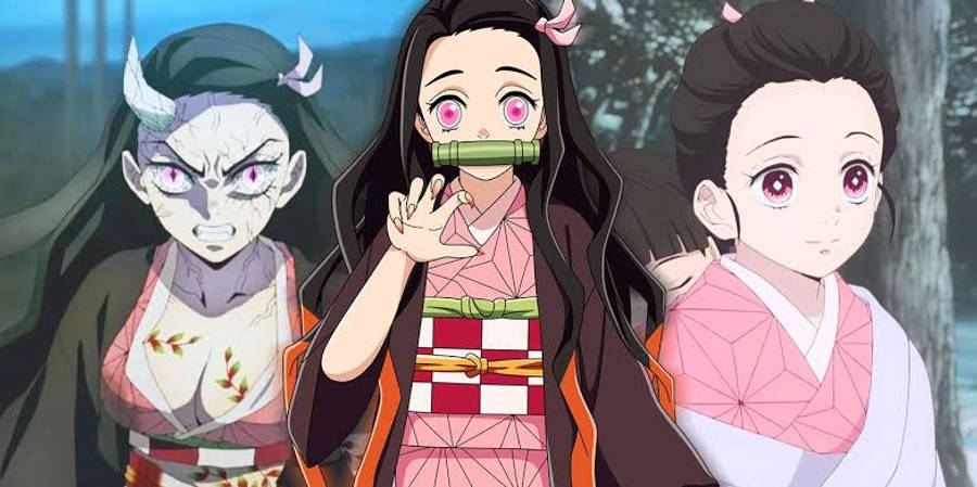 Iba't Ibang Yugto ng Buhay ni Nezuko mula sa Demon Slayer Wallpaper