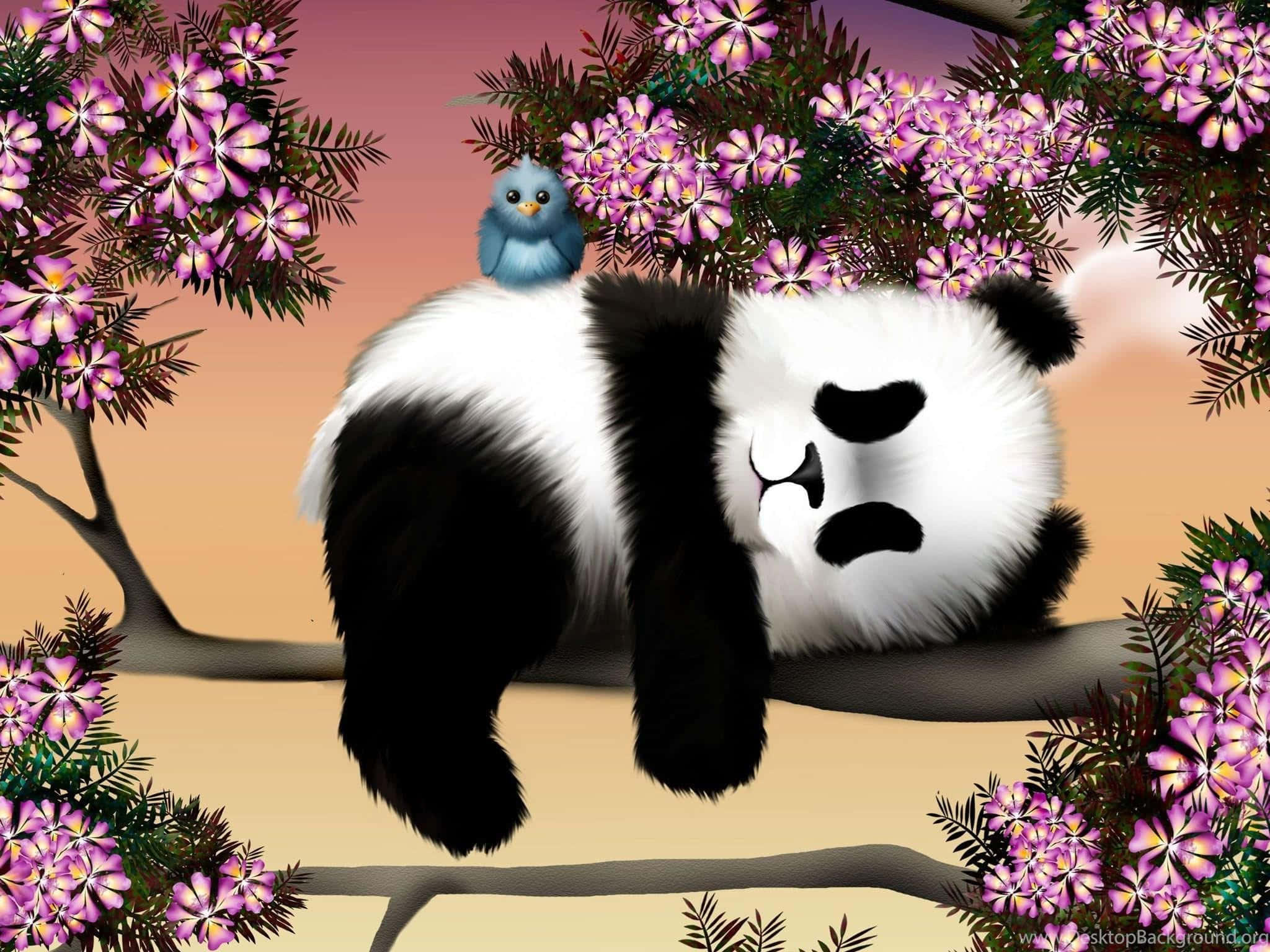 Ibon sa Panda Laptop Wallpaper