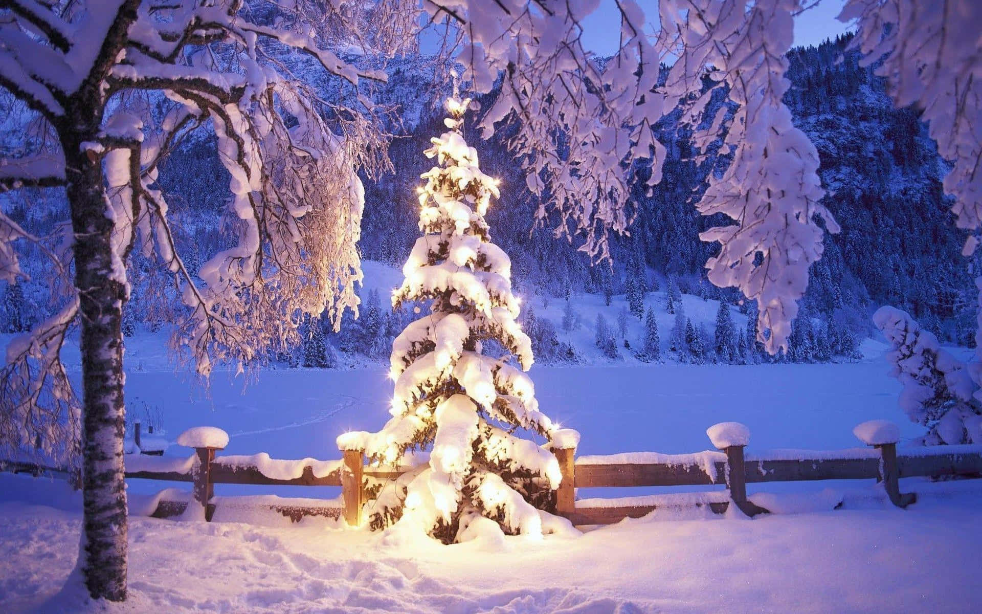 Ideya ng Puting Puno ng Pasko na May Niyebe sa Likuran Wallpaper