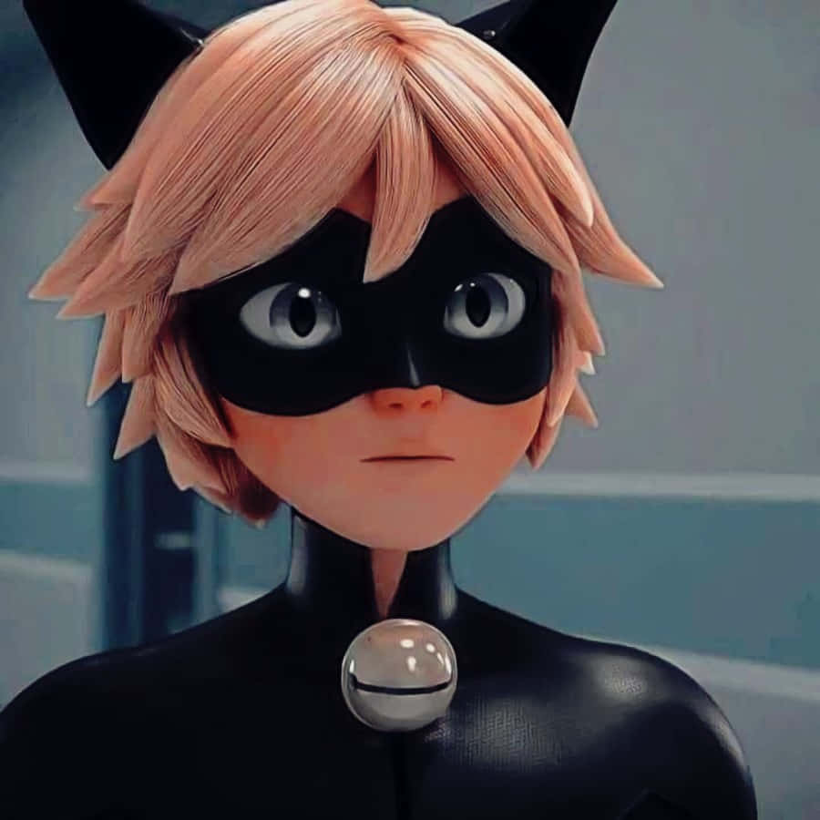 Ilabas ang iyong panloob na Cat Noir Wallpaper