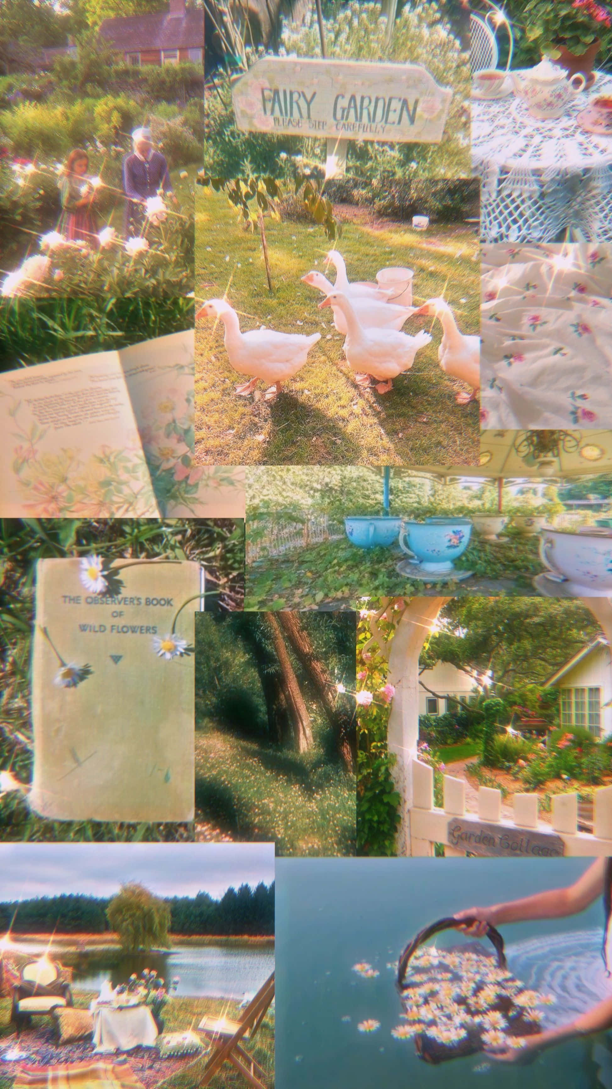 Ilabas ang iyong panloob na diwata gamit ang mapangaraping ito na Aesthetic. Wallpaper