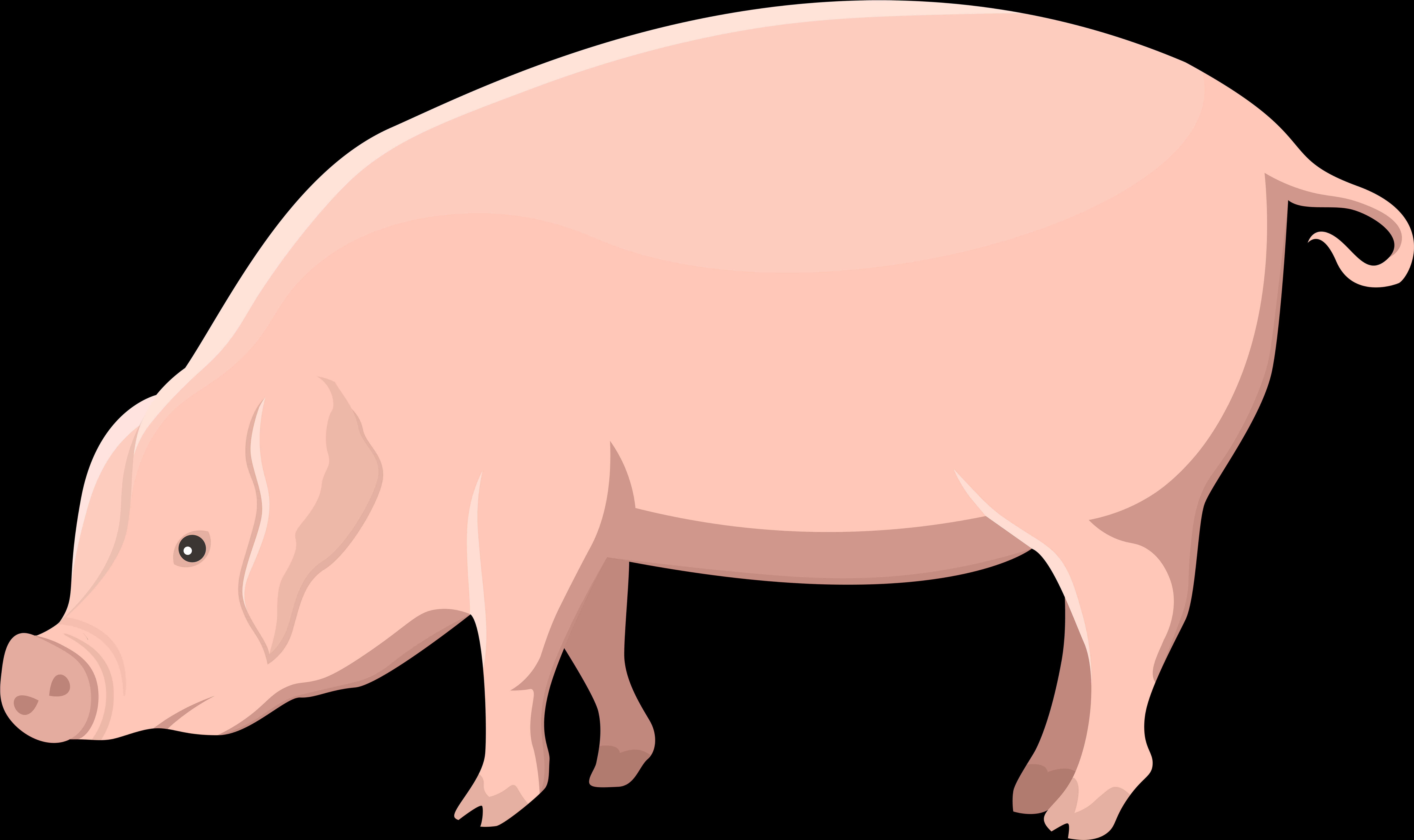 Ilustrasyon ng Kartun na Baboy Wallpaper