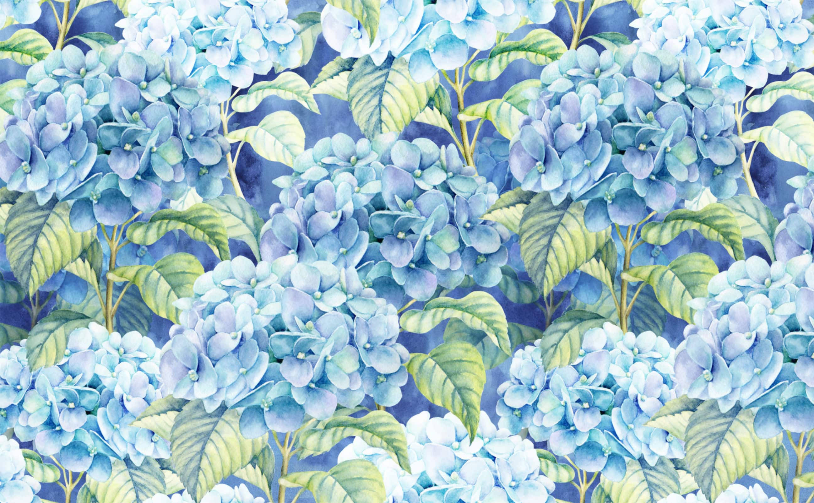 Ilustrasyon ng Mga Light Blue na Hydrangea Wallpaper