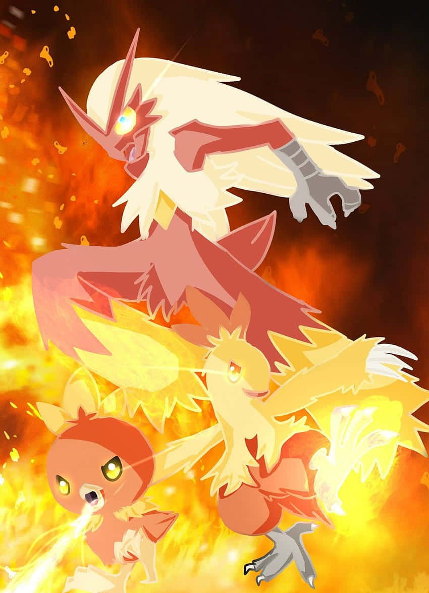 Ilustrasyon ng mga Yugto ng Ebolusyon ng Torchic Pokemon Wallpaper