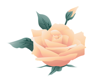 Ilustrasyon ng Rosas na Peach Wallpaper