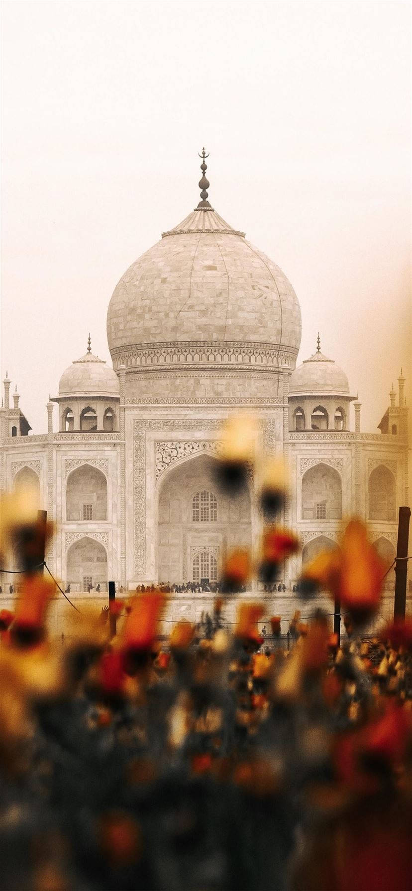 Indian Aesthetic Taj Mahal Bulaklak Wallpaper