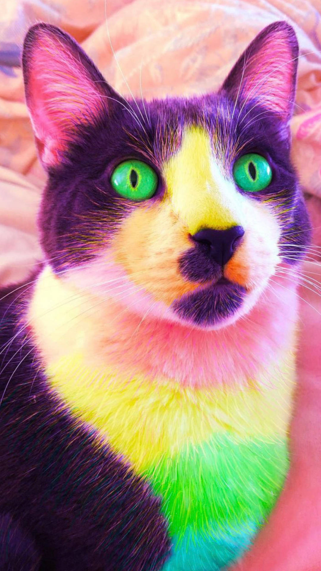 Indie Kid Aesthetic na Pusa na May Luntiang mga Mata Wallpaper