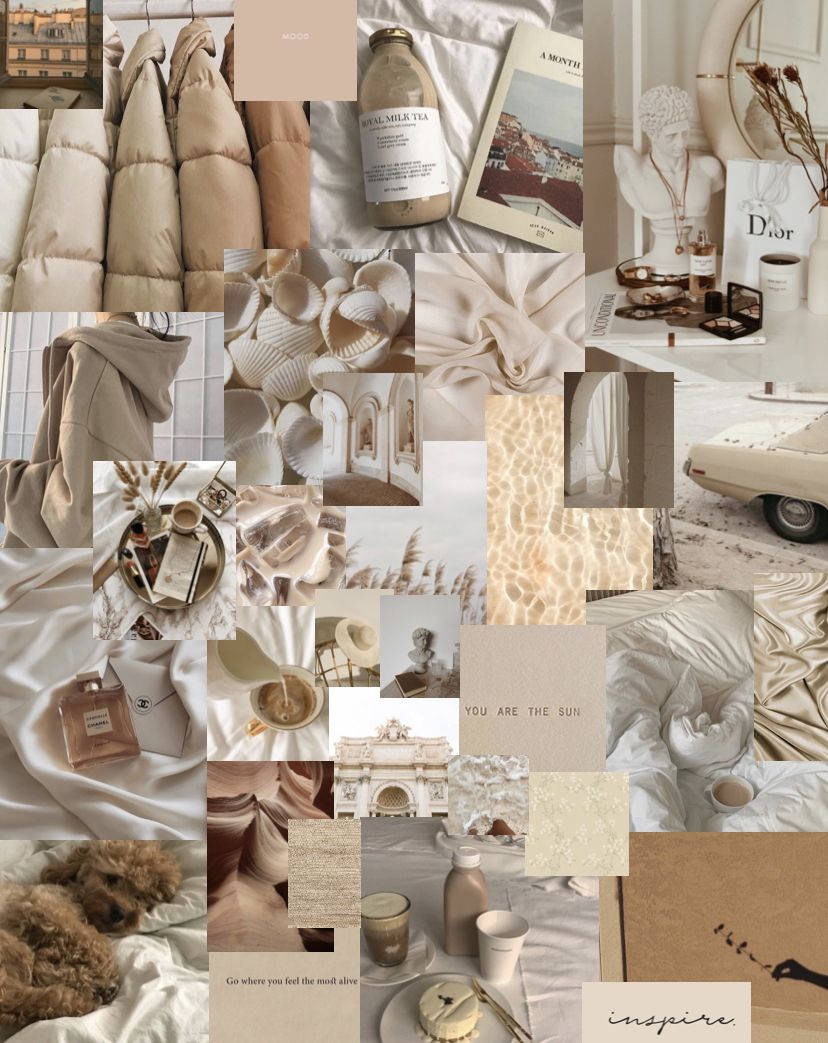 Inumin Beige Aesthetic Collage Wallpaper