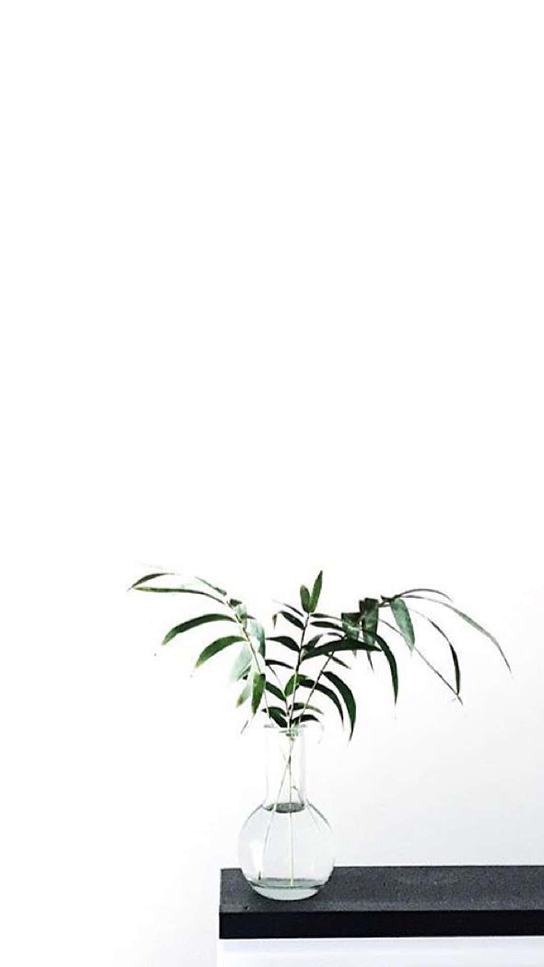 Ipaalam sa mundo na kayang panatilihin ng Aesthetic White na ikaw ay laging presentable. Wallpaper