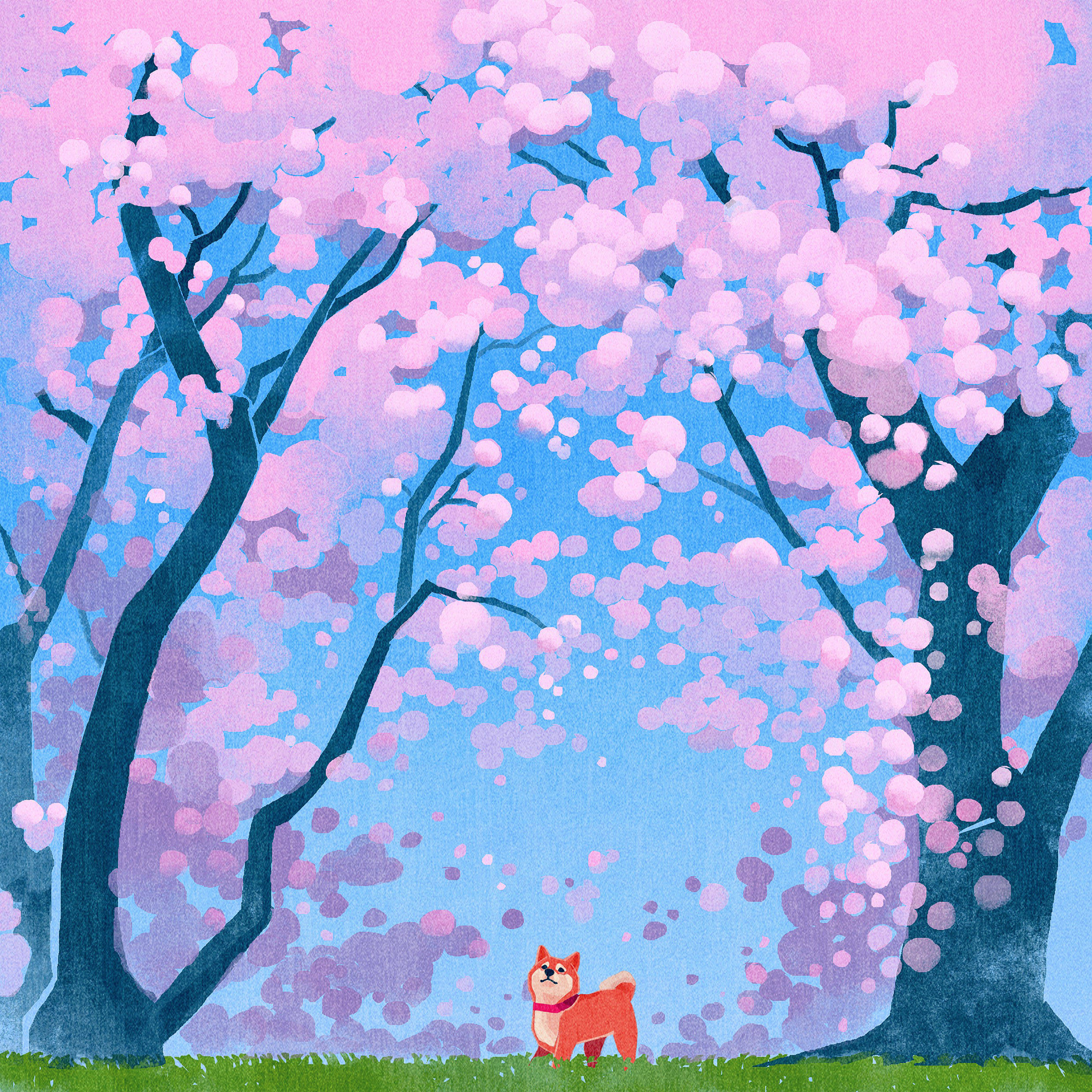 iPad Pro na Cute na Aso sa Cherry Blossoms Wallpaper