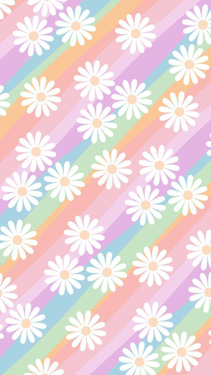 Ipagdiwang ang Buhay na may Makulay na Rainbow Aesthetic Wallpaper