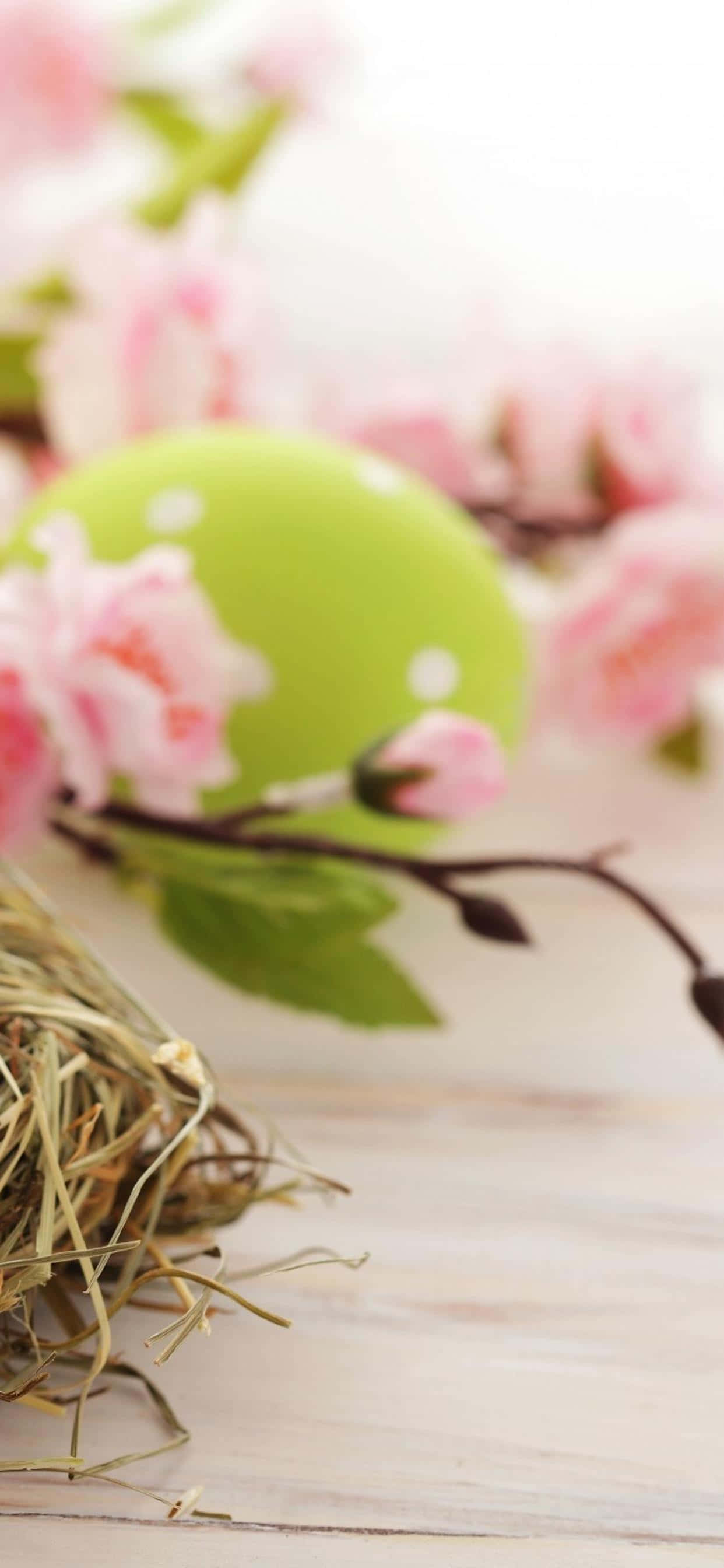 Ipagdiwang ang Easter gamit ang Nakatutuwang iPhone Cover na may Kuneho Wallpaper