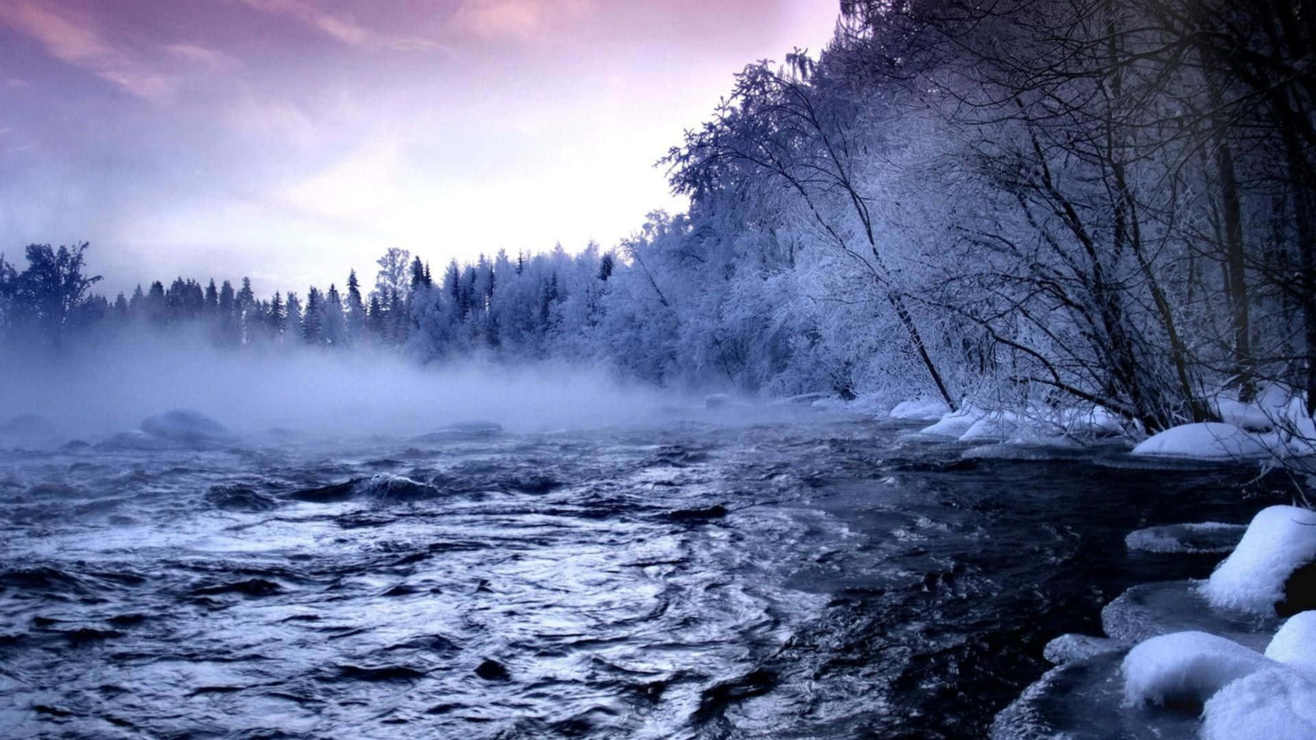 Ipagdiwang ang ganda at saya ng bawat panahon Wallpaper