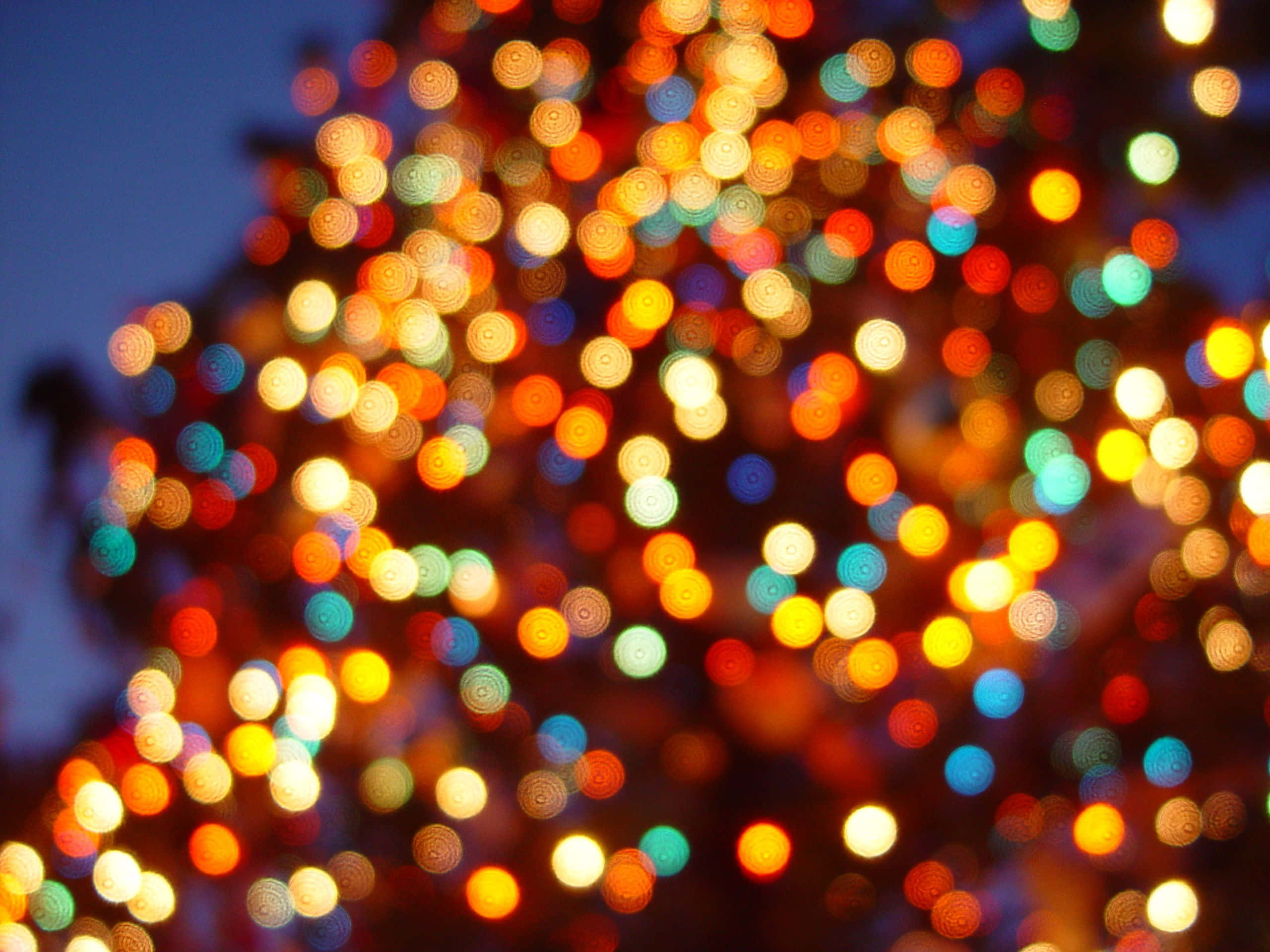 Ipagdiwang ang kapaskuhan kasama ang kumikislap na mga ilaw ng Pasko Wallpaper