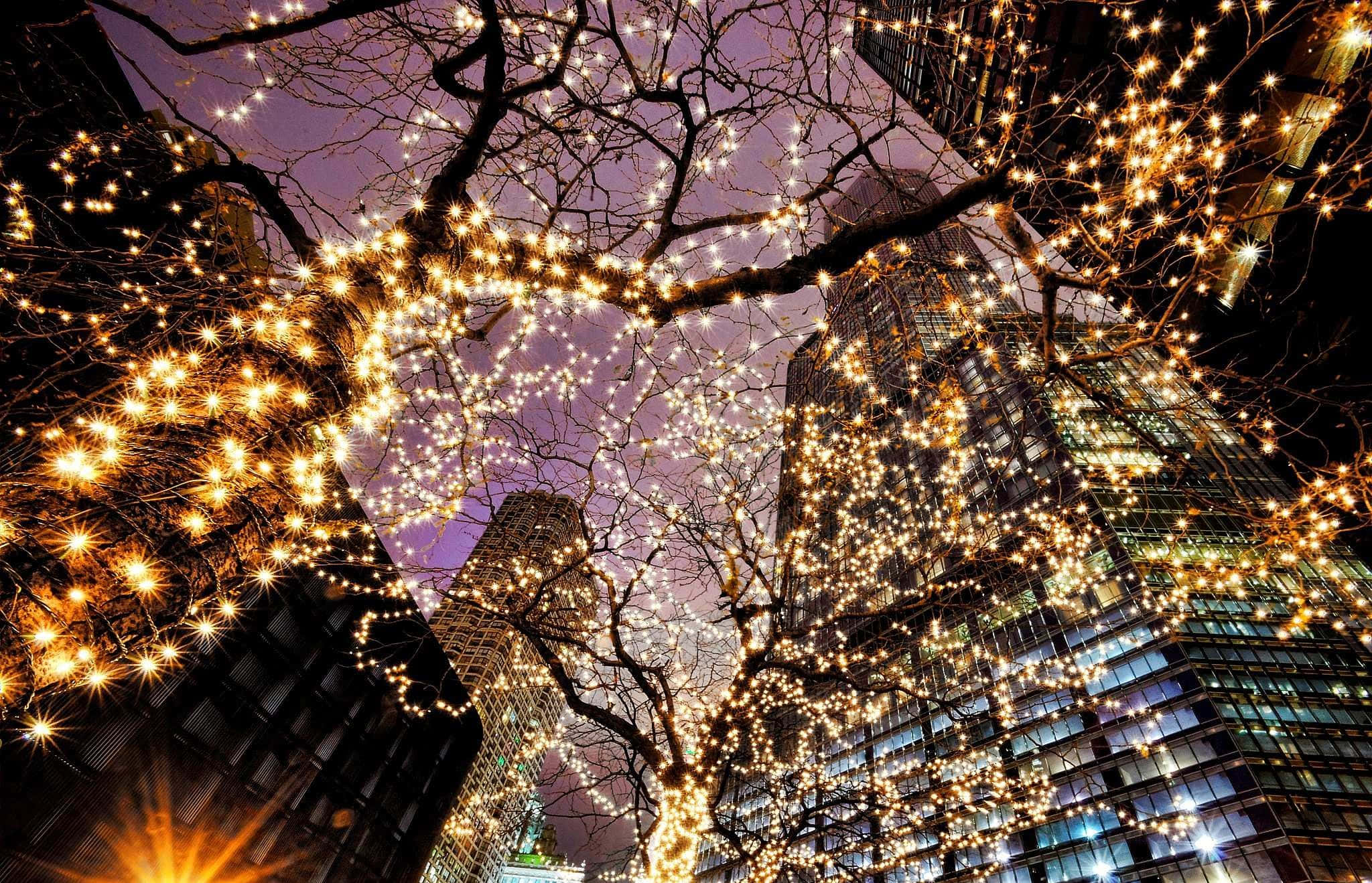 Ipagdiwang ang Panahon ng Pasko gamit ang Makulay na mga Ilaw ng Pasko Wallpaper