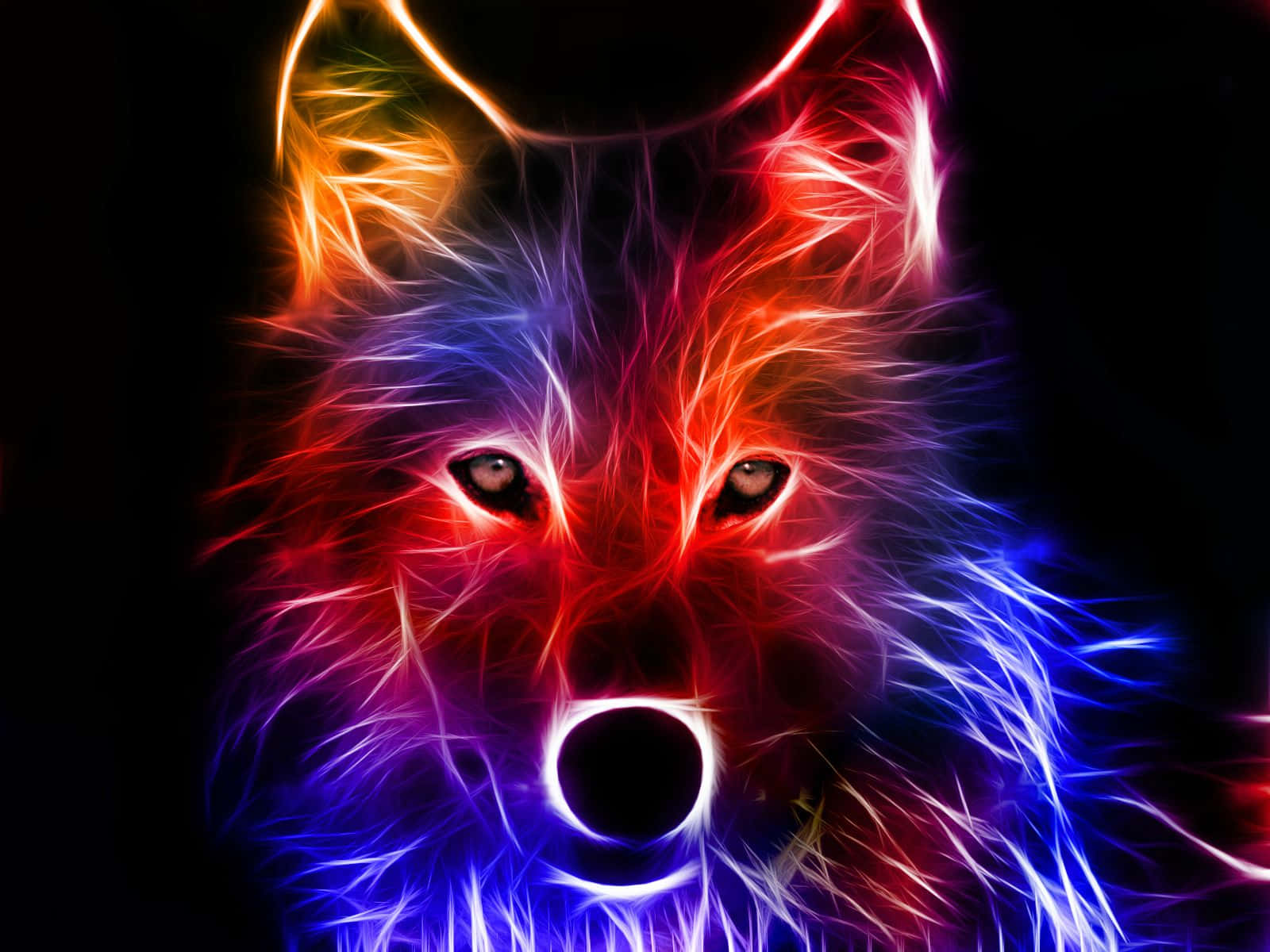 Ipakita ang Iyong Astig na Bahagi gamit ang Napakaastig na Lobo Wallpaper