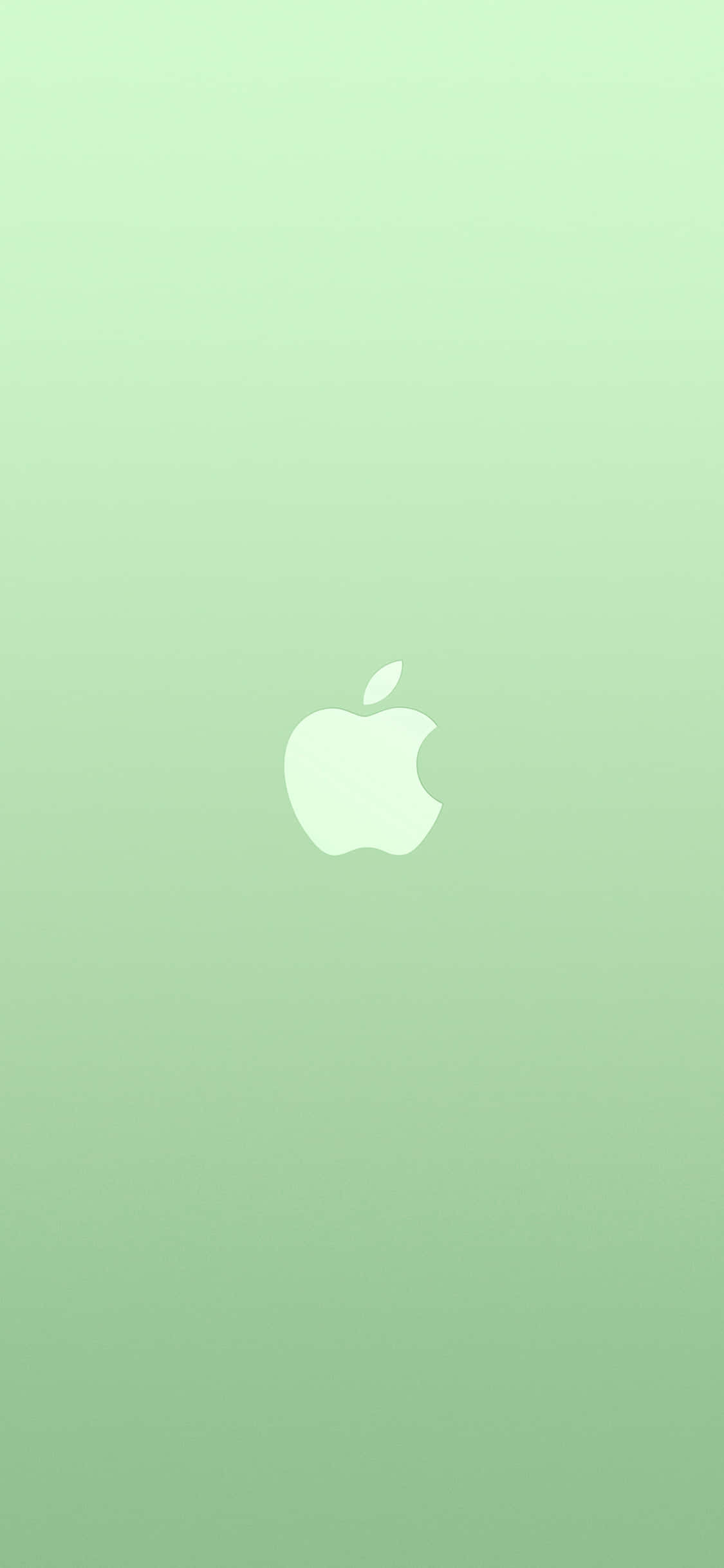 iPhone 11 Apple Logo Green Background Wallpaper