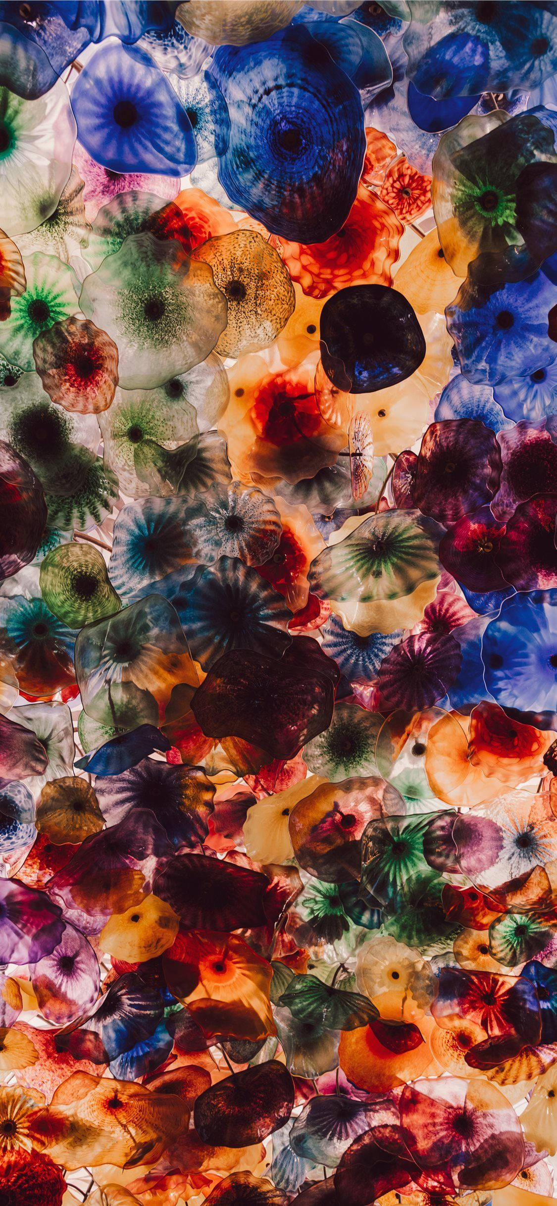 iPhone 11 Pro Max Colorful Jellyfish Wallpaper
